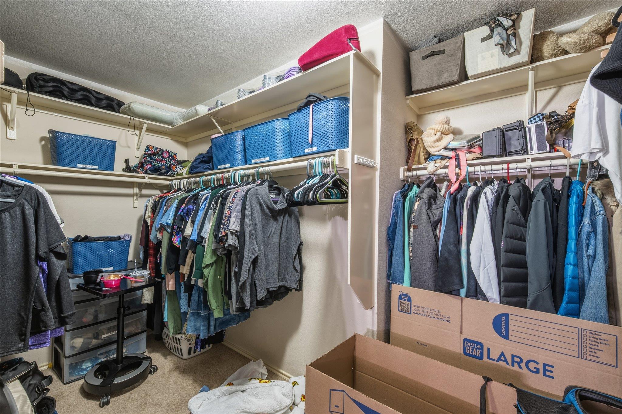 922 Satellite Vw, Round Rock, TX 78665