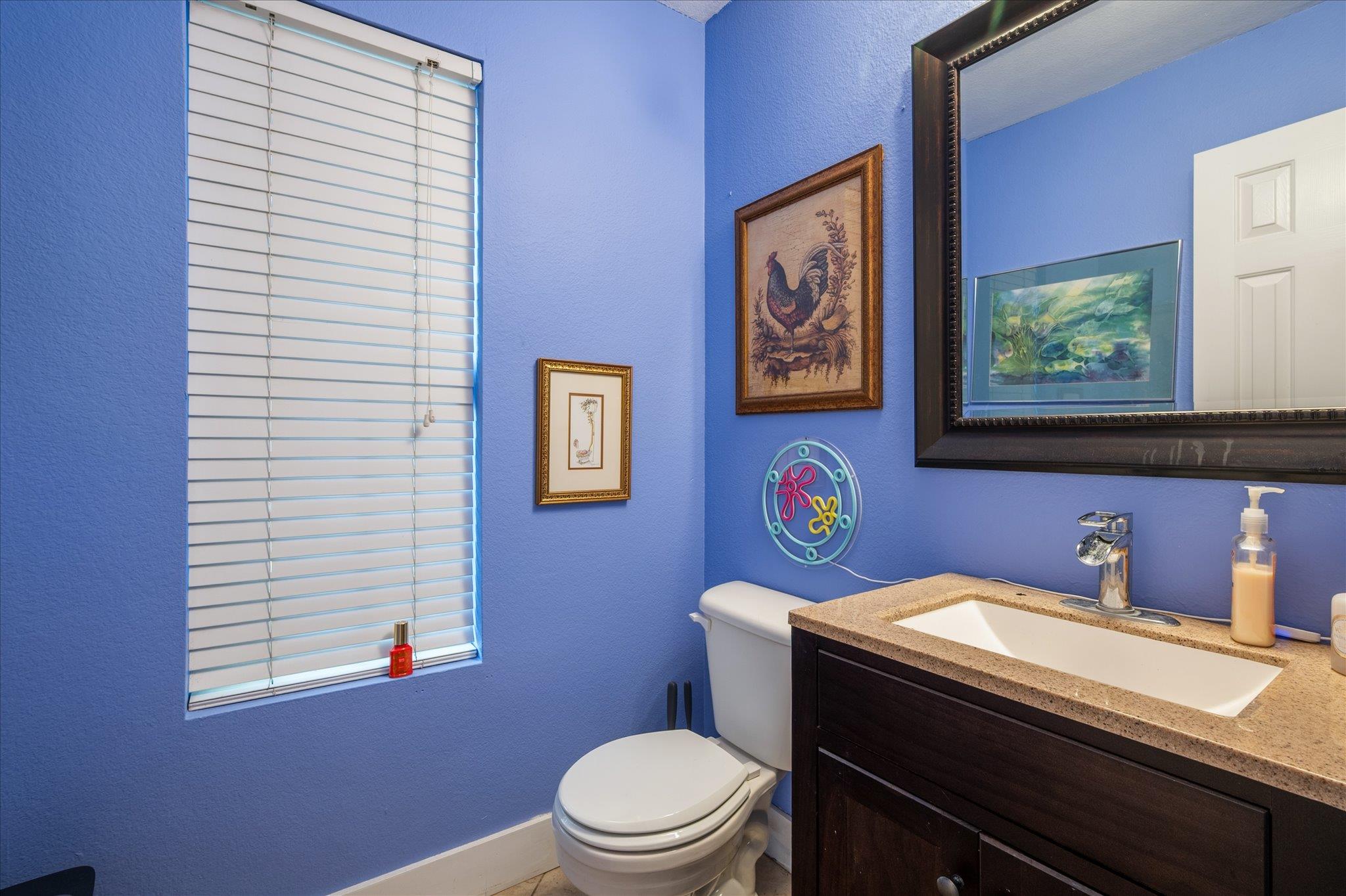 922 Satellite Vw, Round Rock, TX 78665