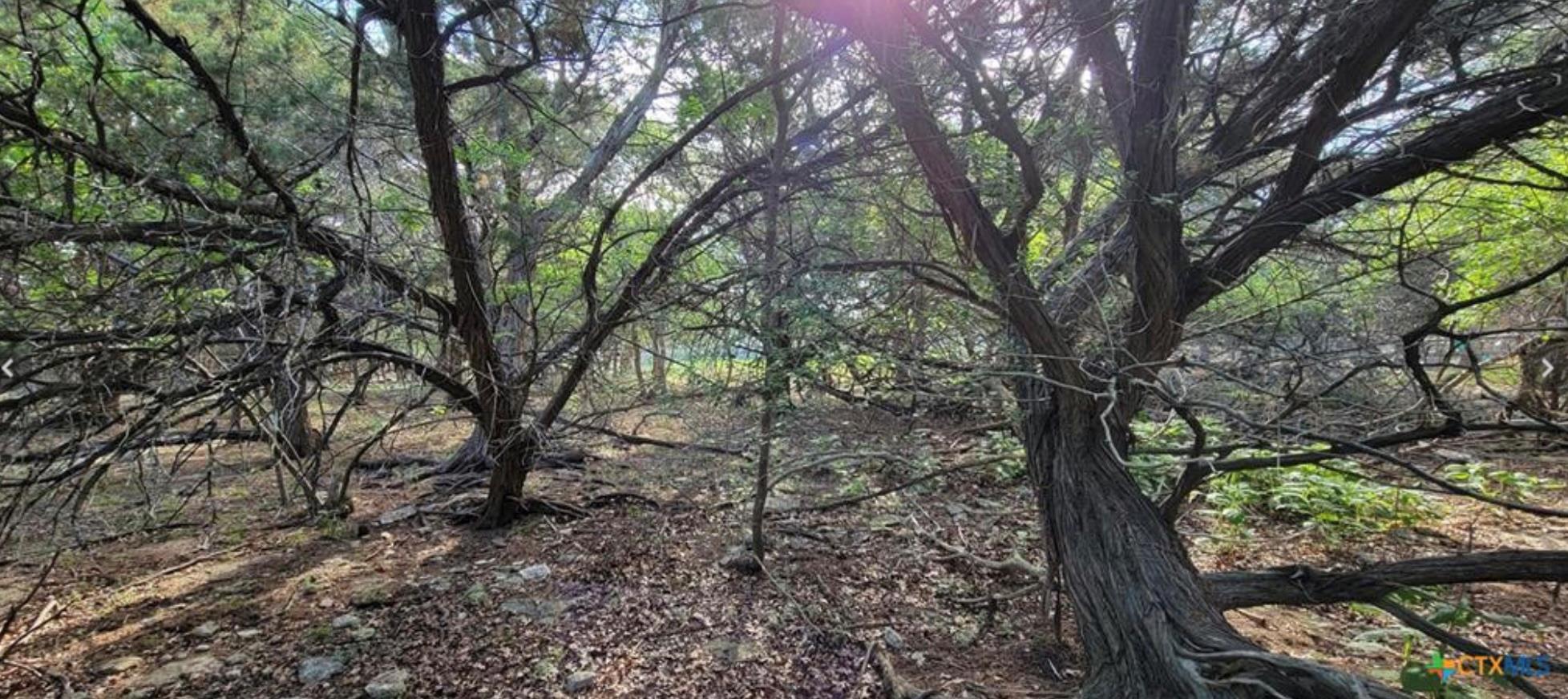 16082 Charlya Dr, Temple, TX 76502