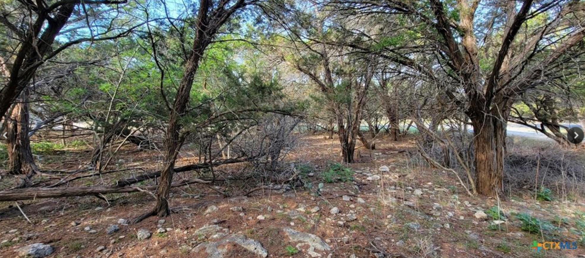 16082 Charlya Dr, Temple, TX 76502