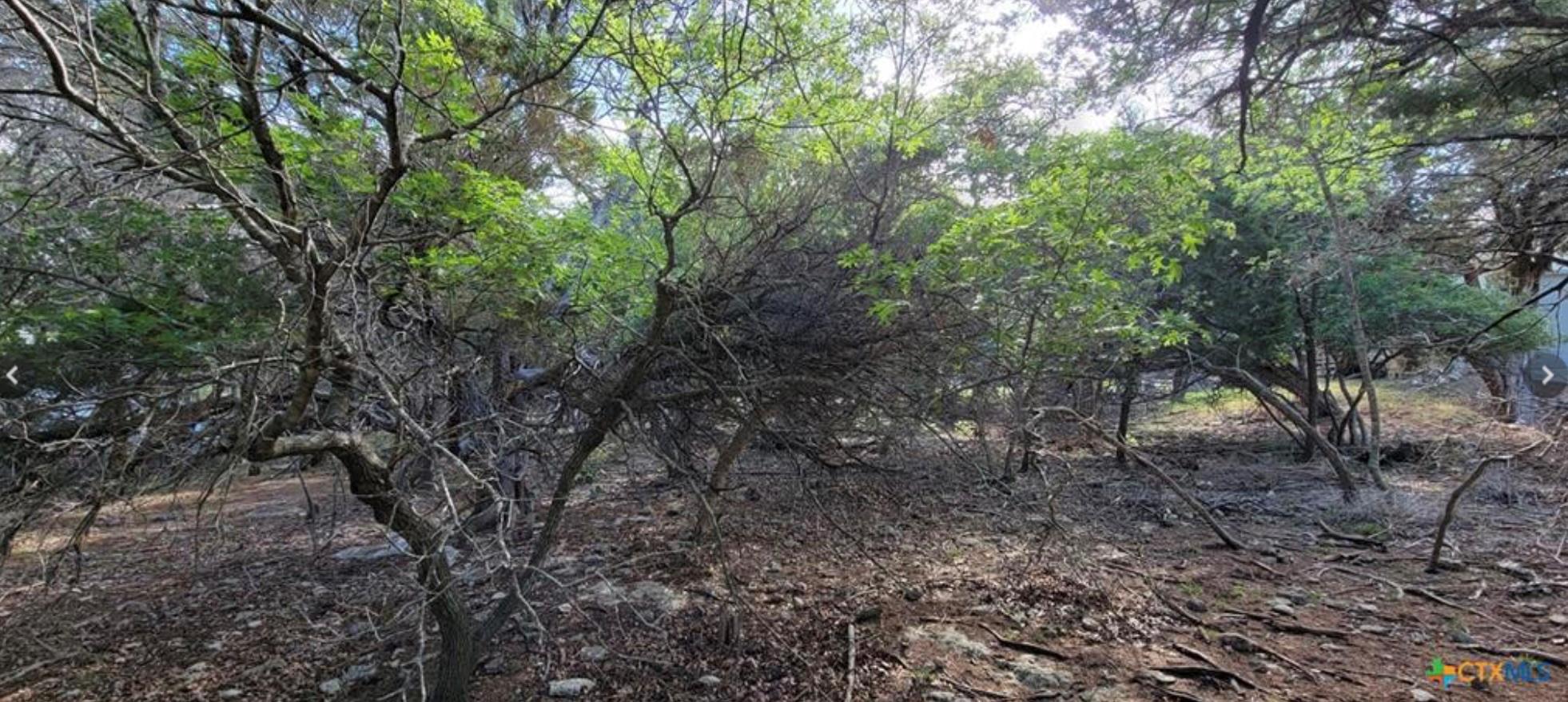 16082 Charlya Dr, Temple, TX 76502