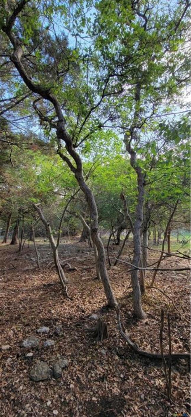 16082 Charlya Dr, Temple, TX 76502