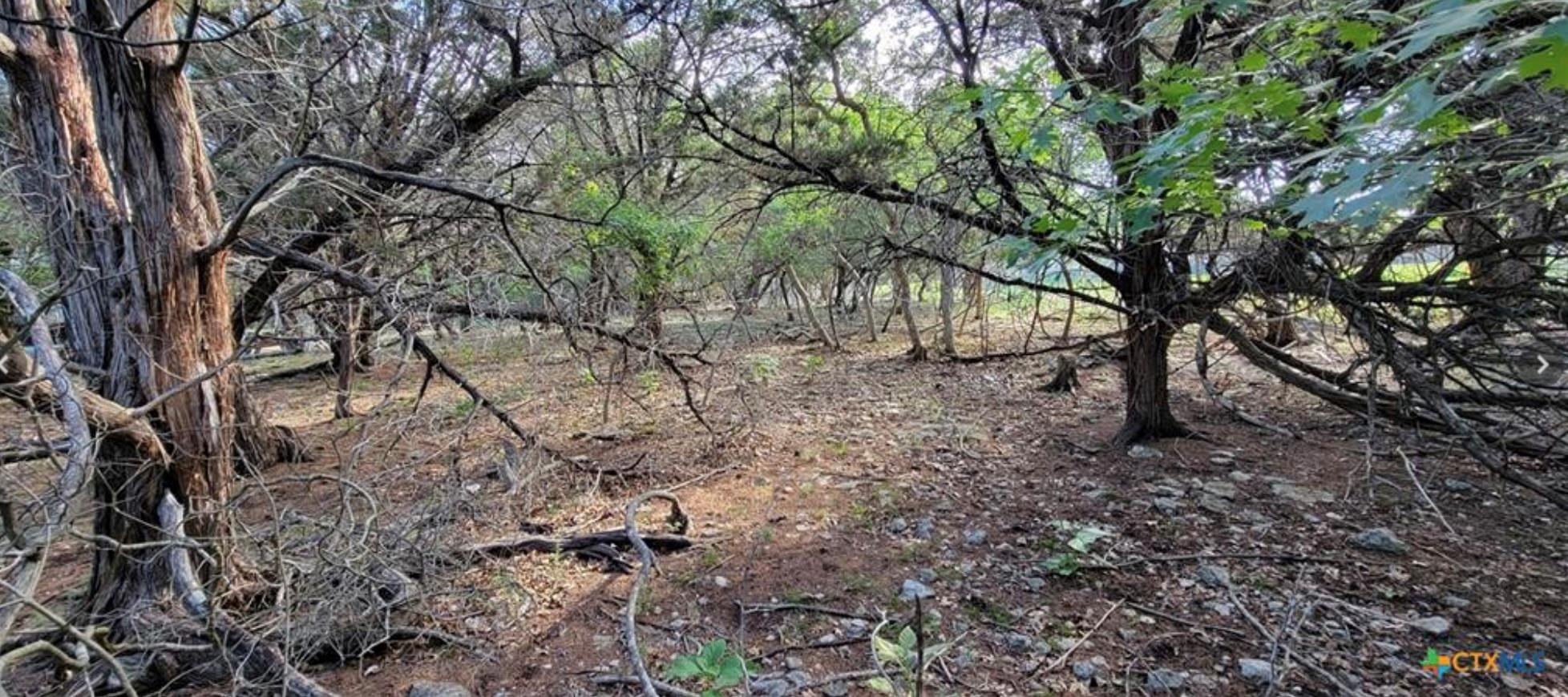 16082 Charlya Dr, Temple, TX 76502