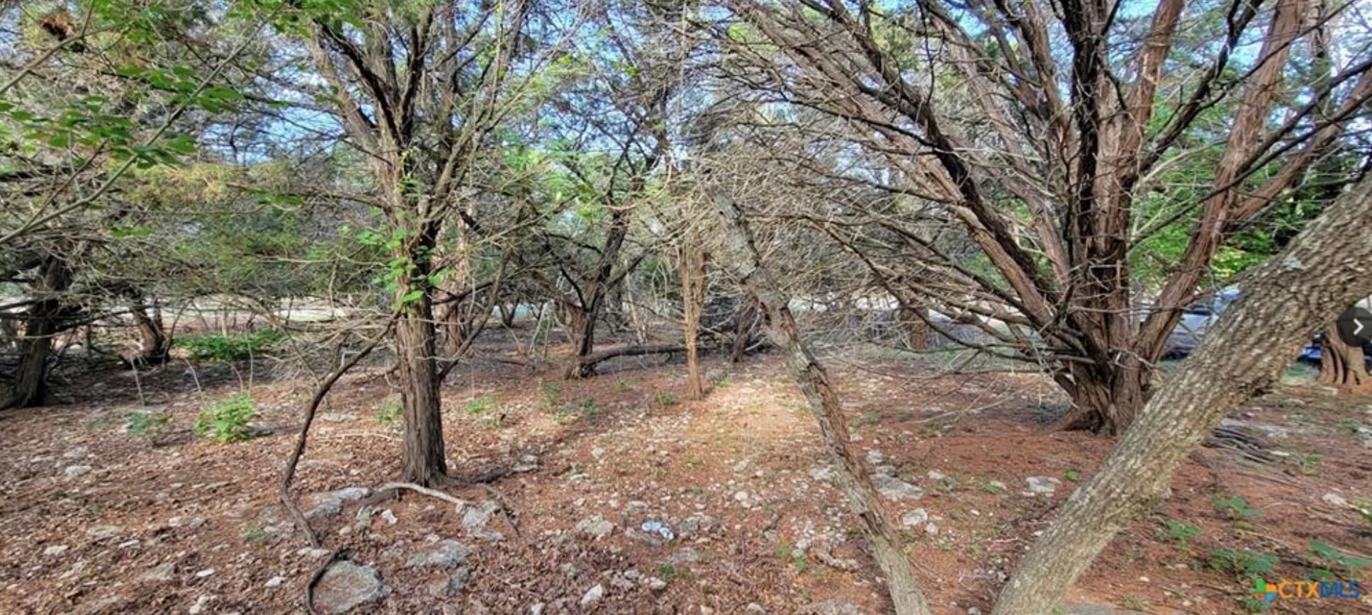 16082 Charlya Dr, Temple, TX 76502