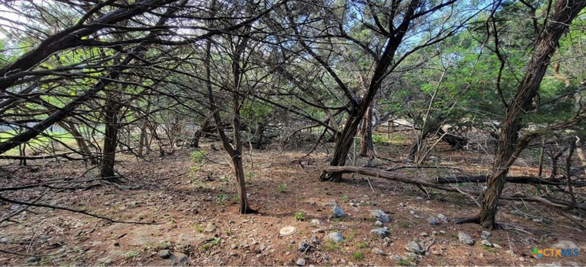 16082 Charlya Dr, Temple, TX 76502