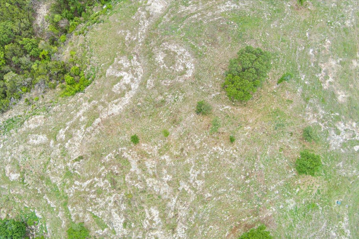 10134 Sweet Lilly Trl, Temple, TX 76557