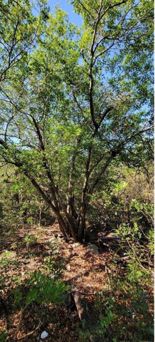 15921 Salado Dr, Temple, TX 76502