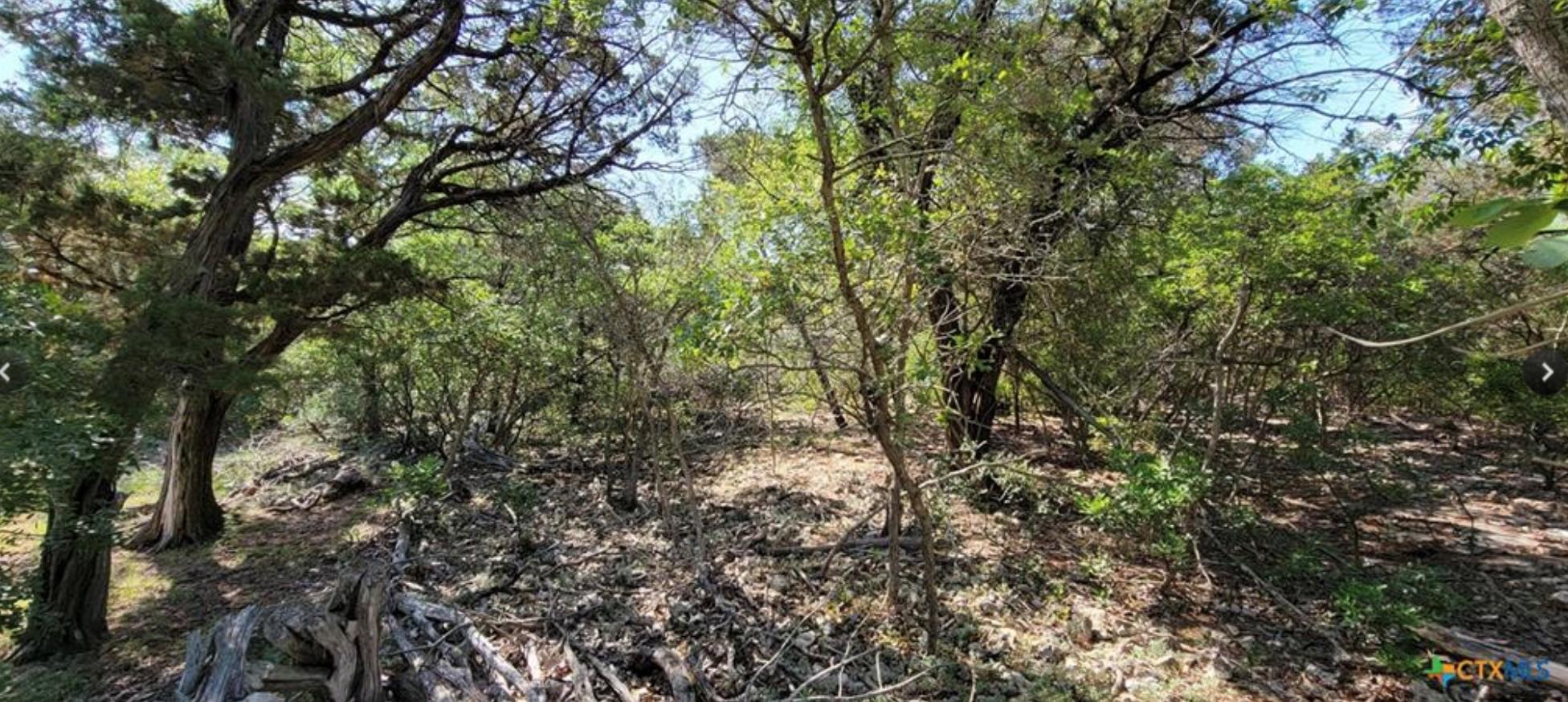 15921 Salado Dr, Temple, TX 76502