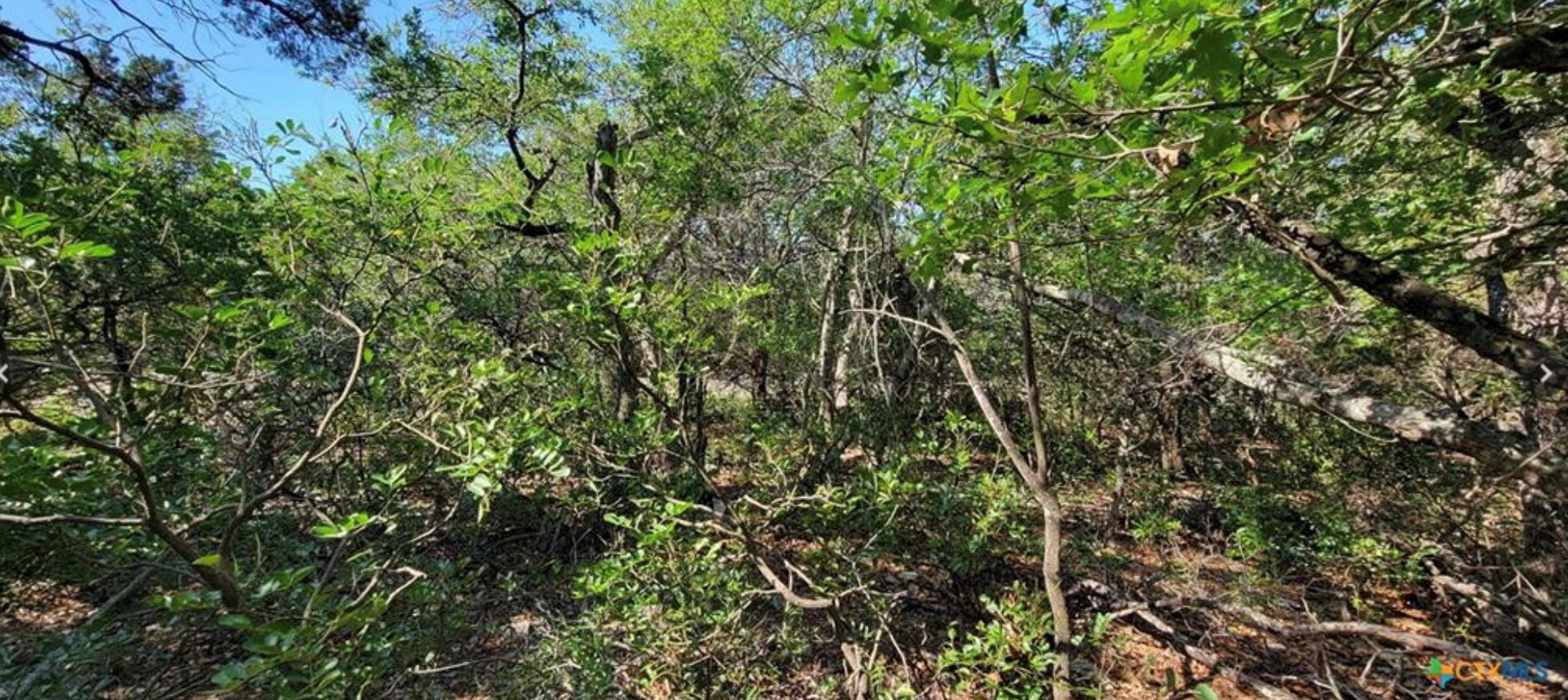 15921 Salado Dr, Temple, TX 76502