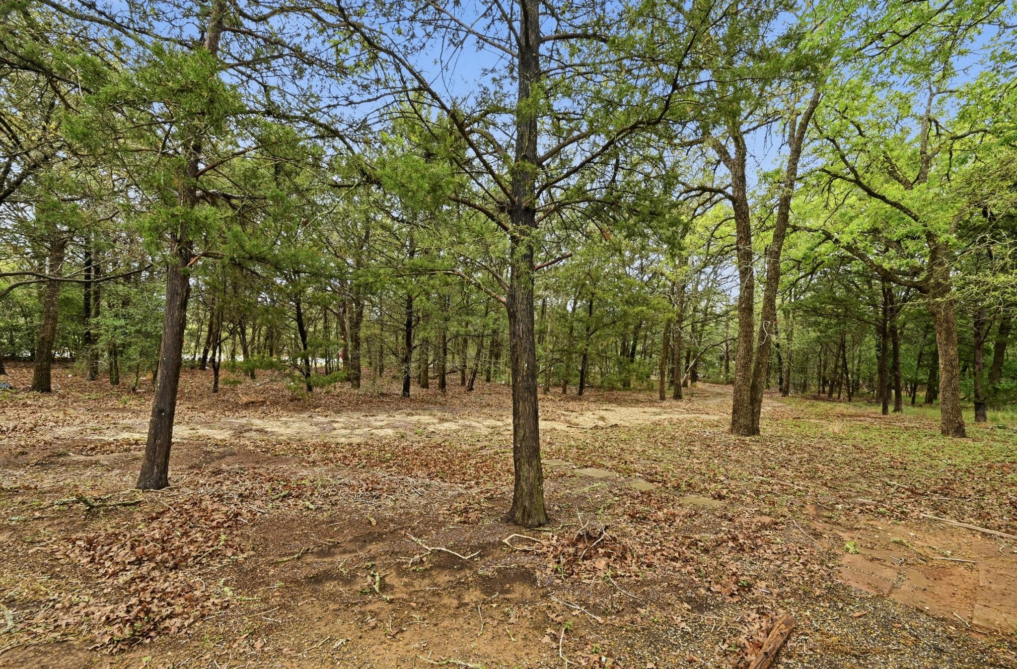 120 Green Mountain Dr, Cedar Creek, TX 78612
