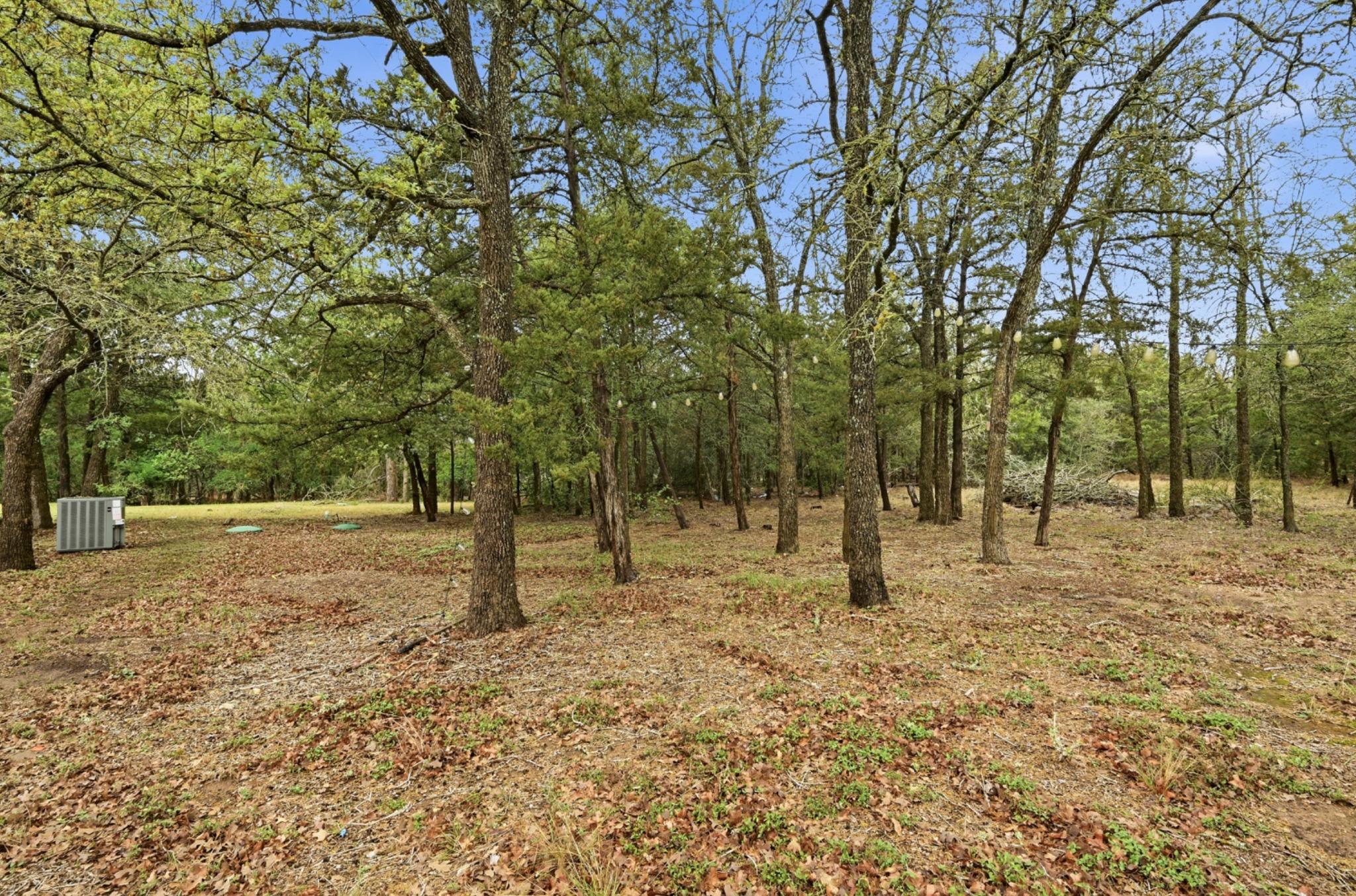 120 Green Mountain Dr, Cedar Creek, TX 78612