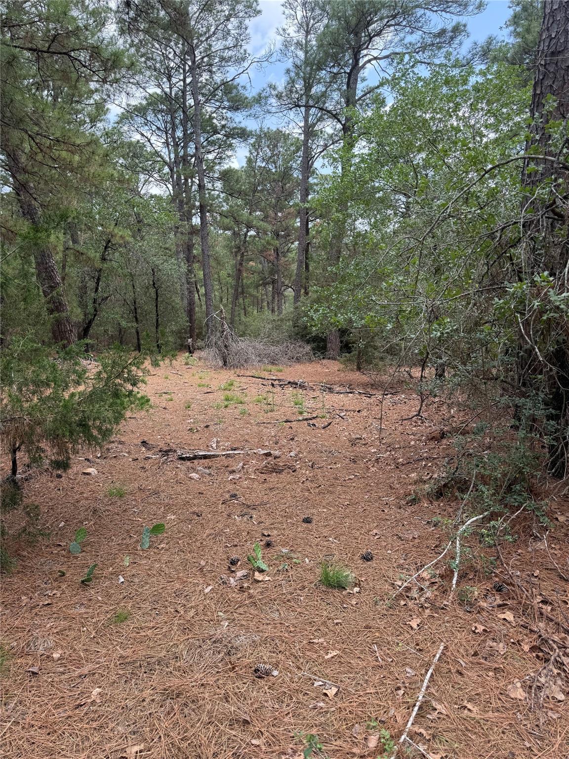 Lot 35 Tanglewood Dr, Bastrop, TX 78602