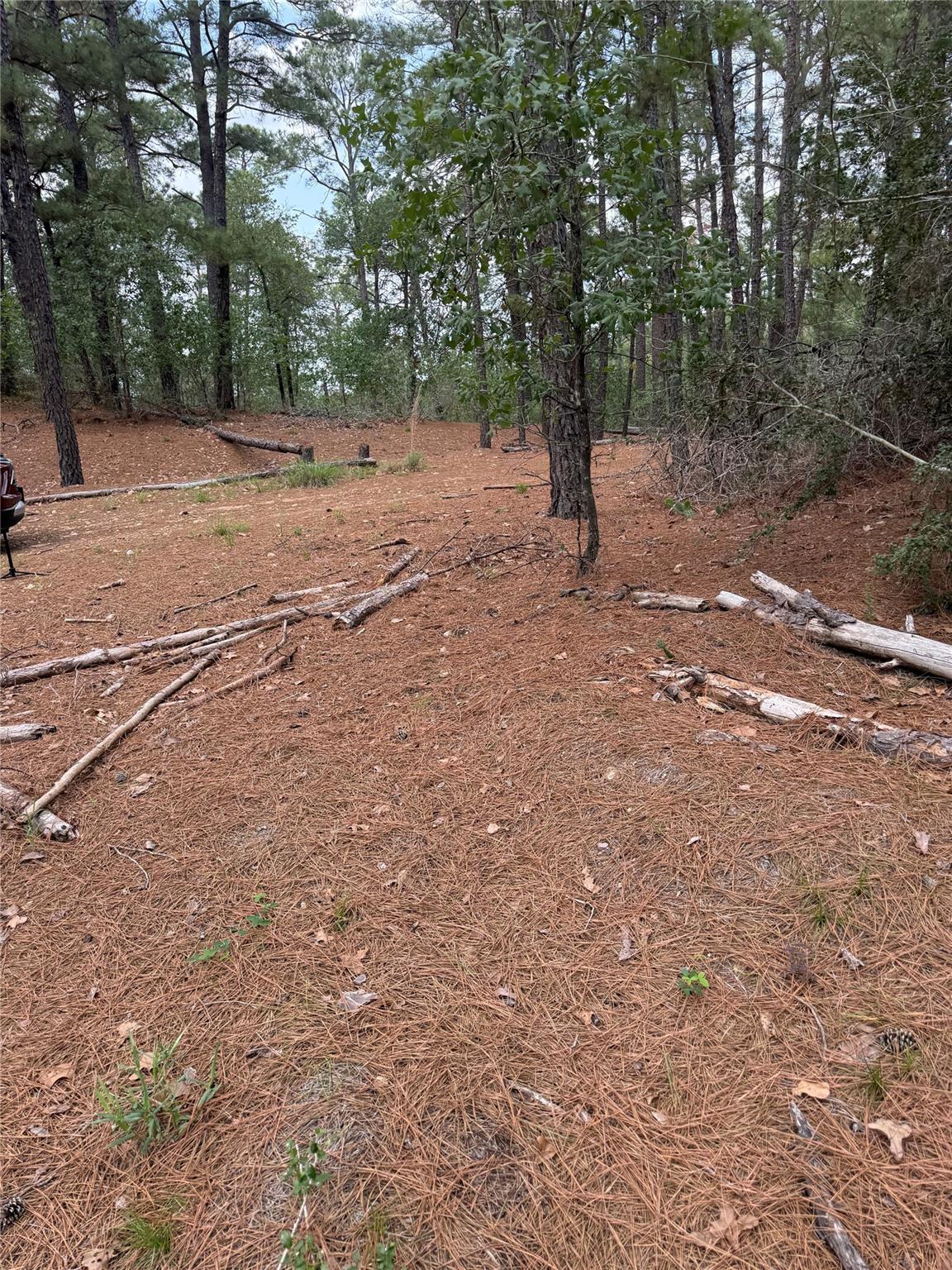 Lot 35 Tanglewood Dr, Bastrop, TX 78602