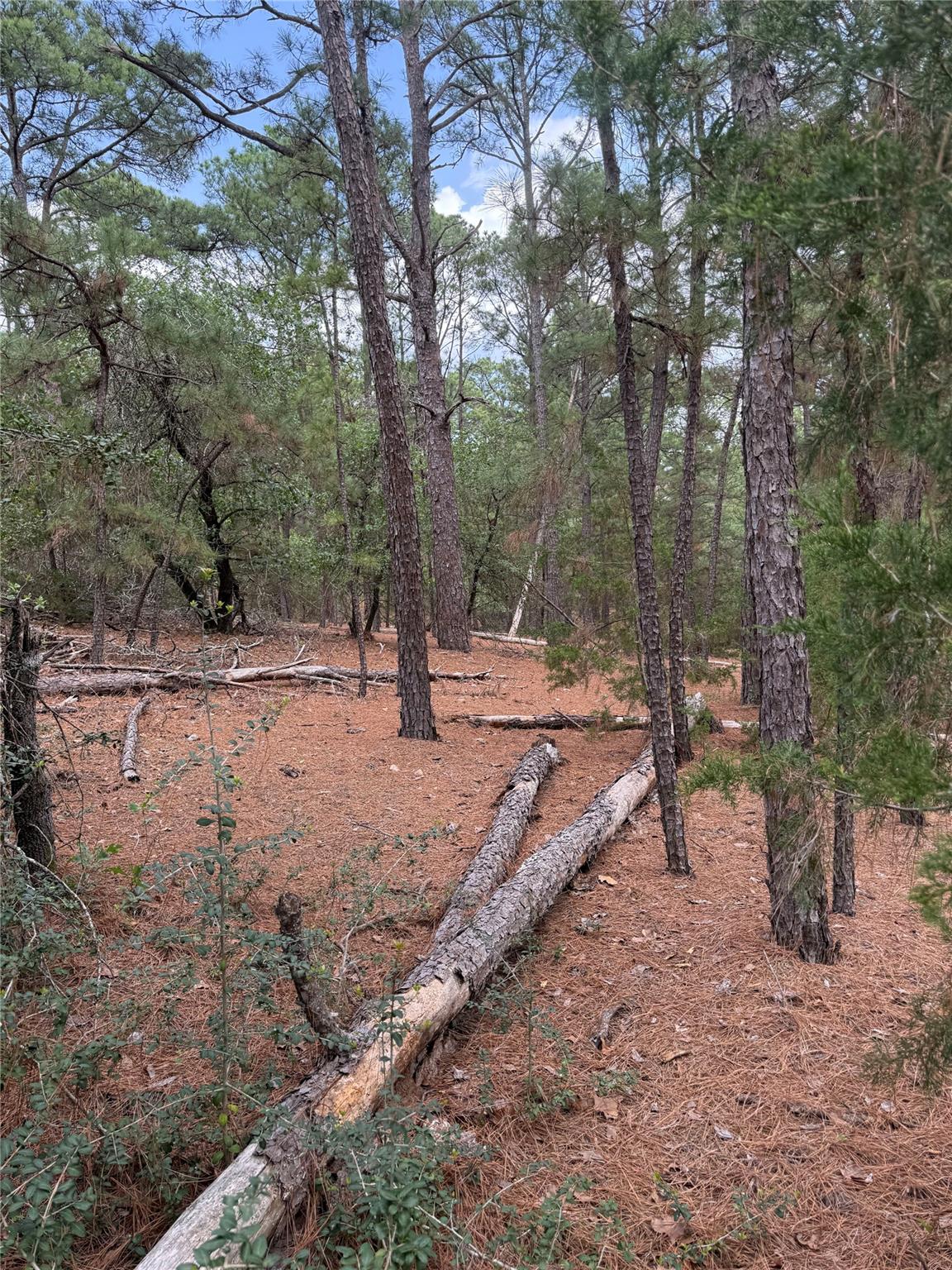 Lot 35 Tanglewood Dr, Bastrop, TX 78602
