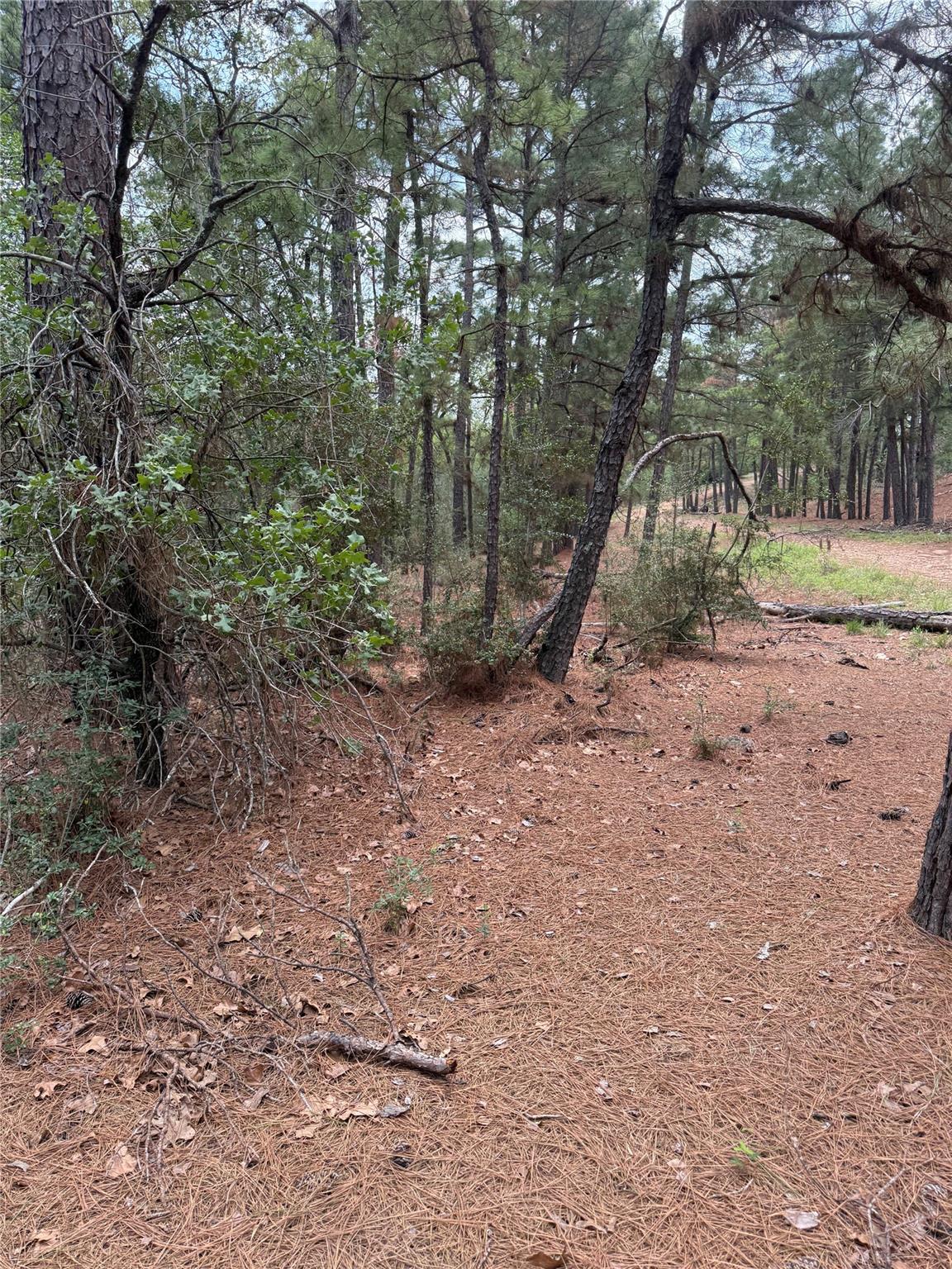 Lot 35 Tanglewood Dr, Bastrop, TX 78602