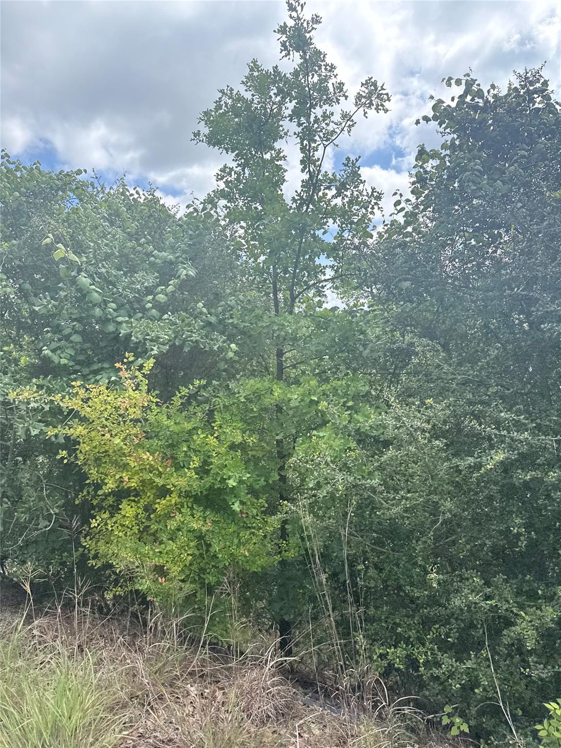 Lot 798 Tahitian Dr, Bastrop, TX 78602