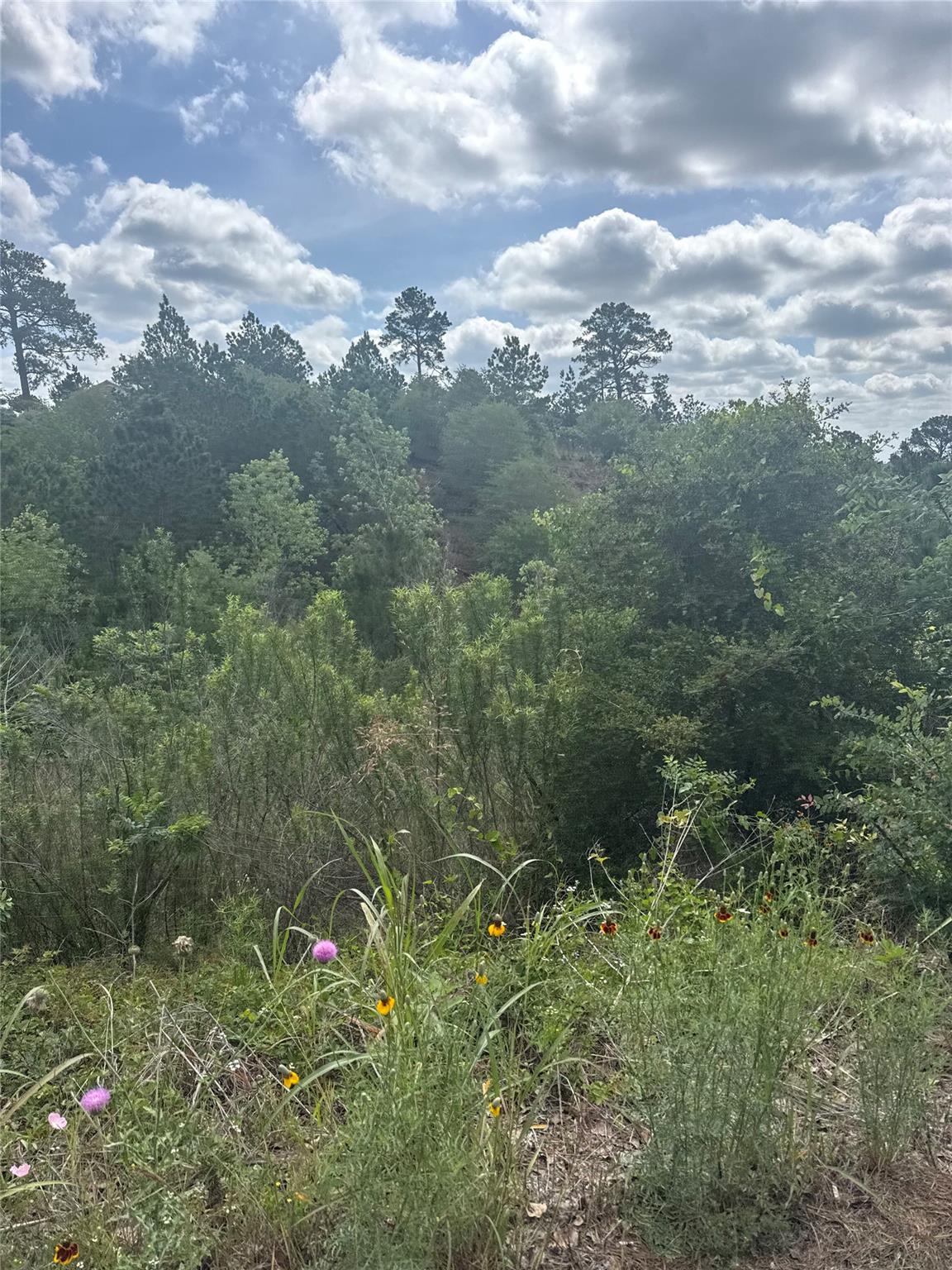 Lot 798 Tahitian Dr, Bastrop, TX 78602