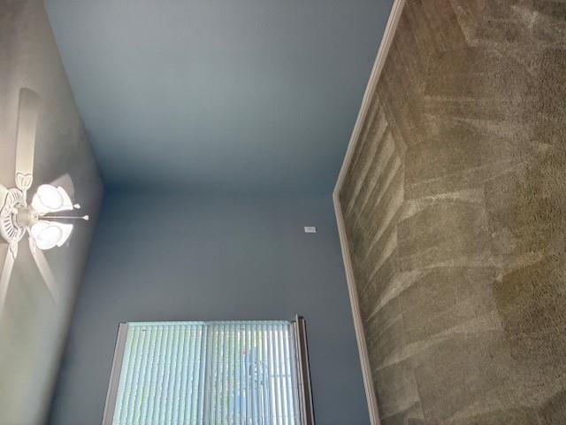 13237 Forest Sage St, Manor, TX 78653