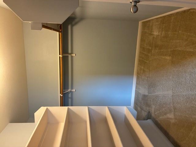 13237 Forest Sage St, Manor, TX 78653