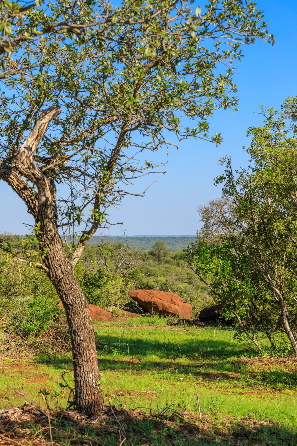 Lot 5 Art Hedwigs Hill Rd, Mason, TX 76856