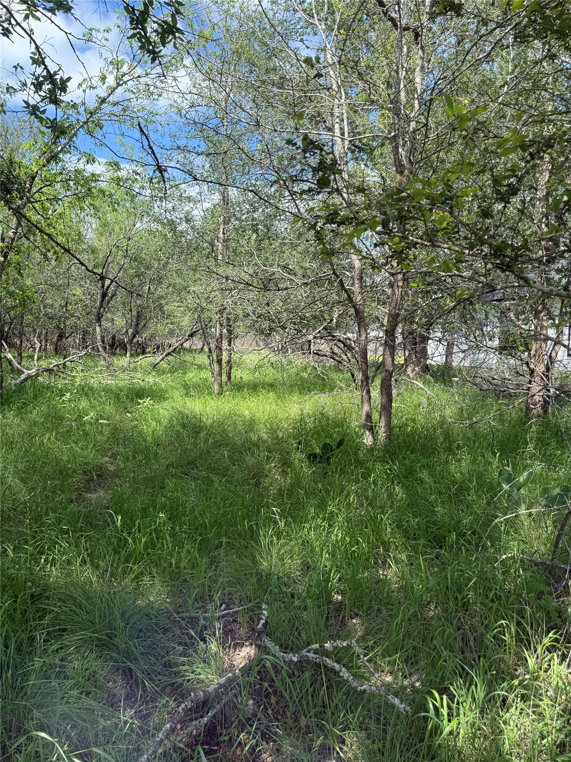 Lot 200 Nene Ln, Bastrop, TX 78602
