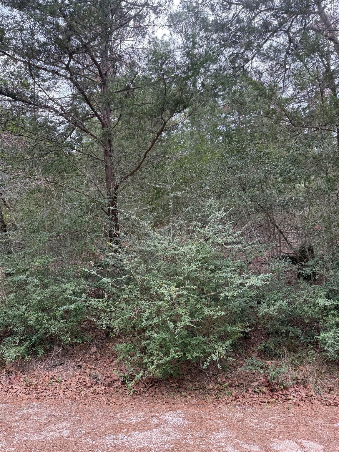 Lot 1428 Keeau Ct, Bastrop, TX 78602