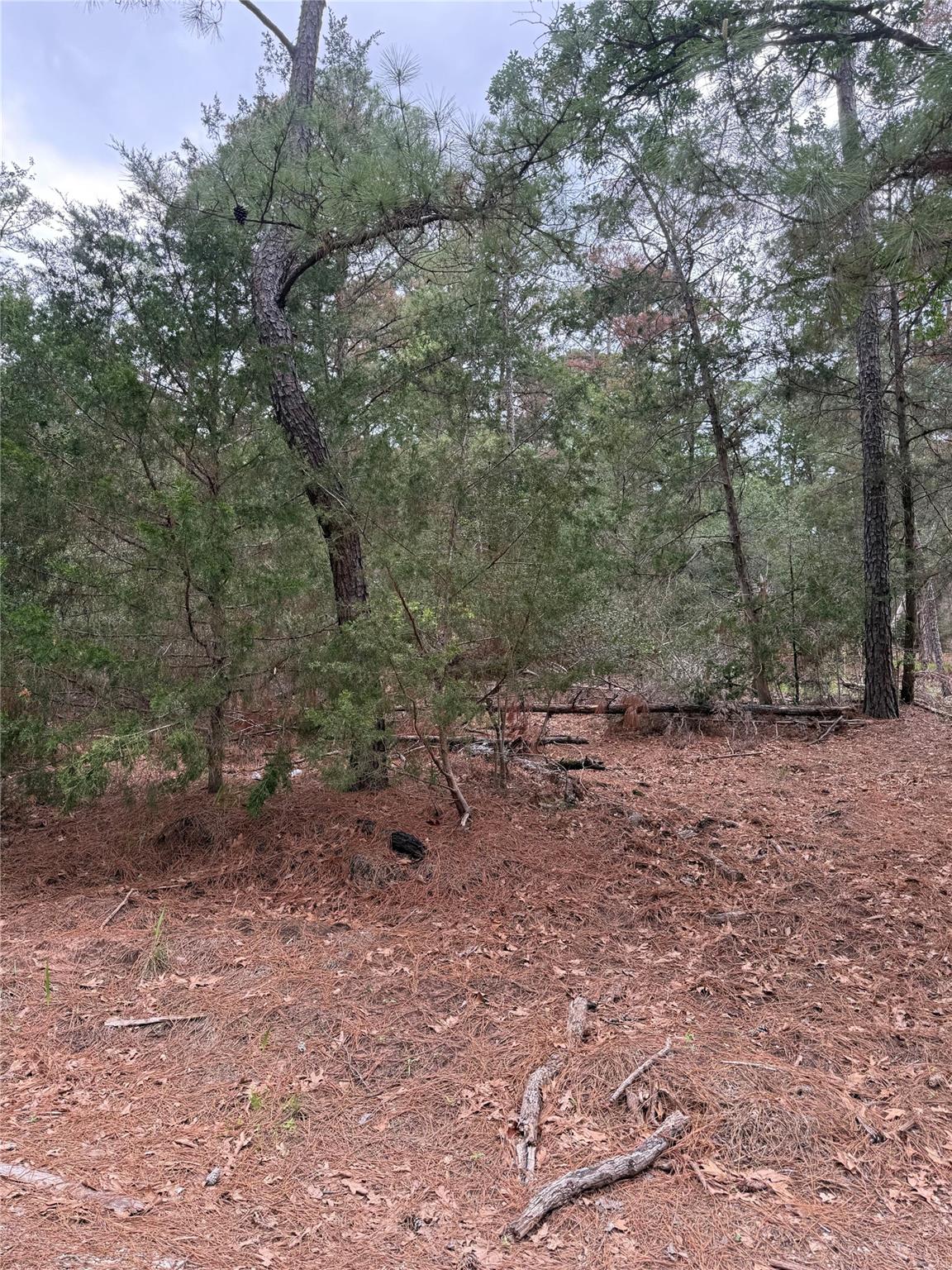 Lot 1428 Keeau Ct, Bastrop, TX 78602