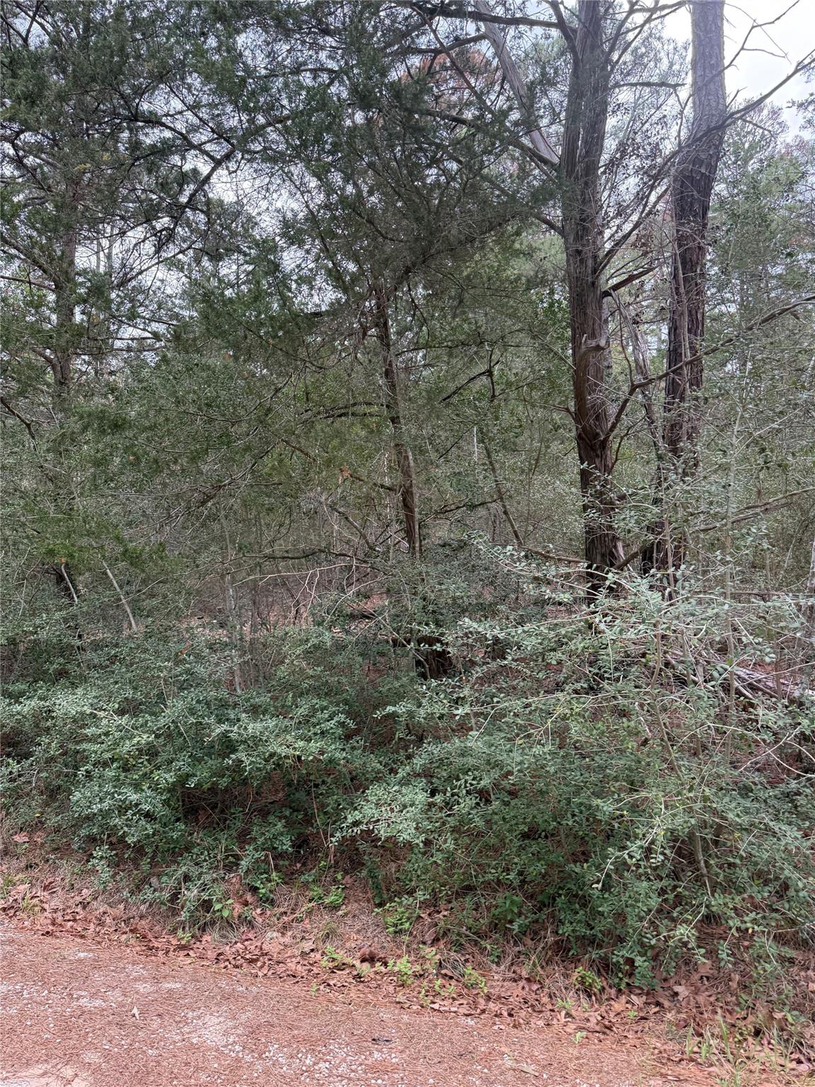 Lot 1428 Keeau Ct, Bastrop, TX 78602