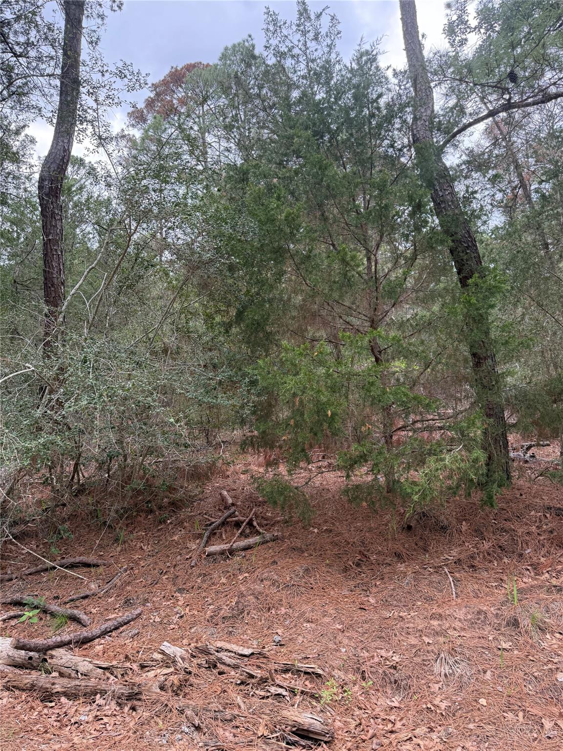 Lot 1428 Keeau Ct, Bastrop, TX 78602