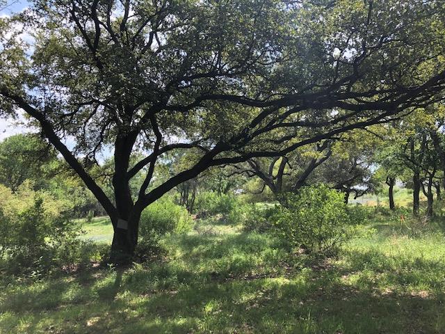 TBD Bay West/Quick Circle Cir, Horseshoe Bay, TX 78657