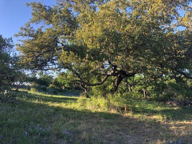 TBD Bay West/Quick Circle Cir, Horseshoe Bay, TX 78657