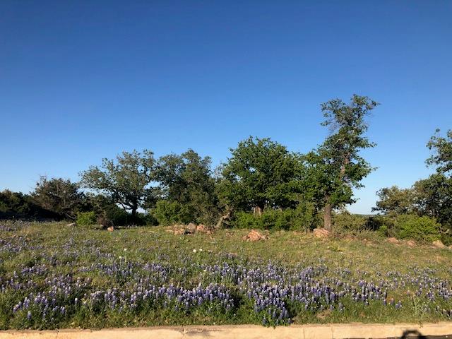 TBD Bay West/Quick Circle Cir, Horseshoe Bay, TX 78657