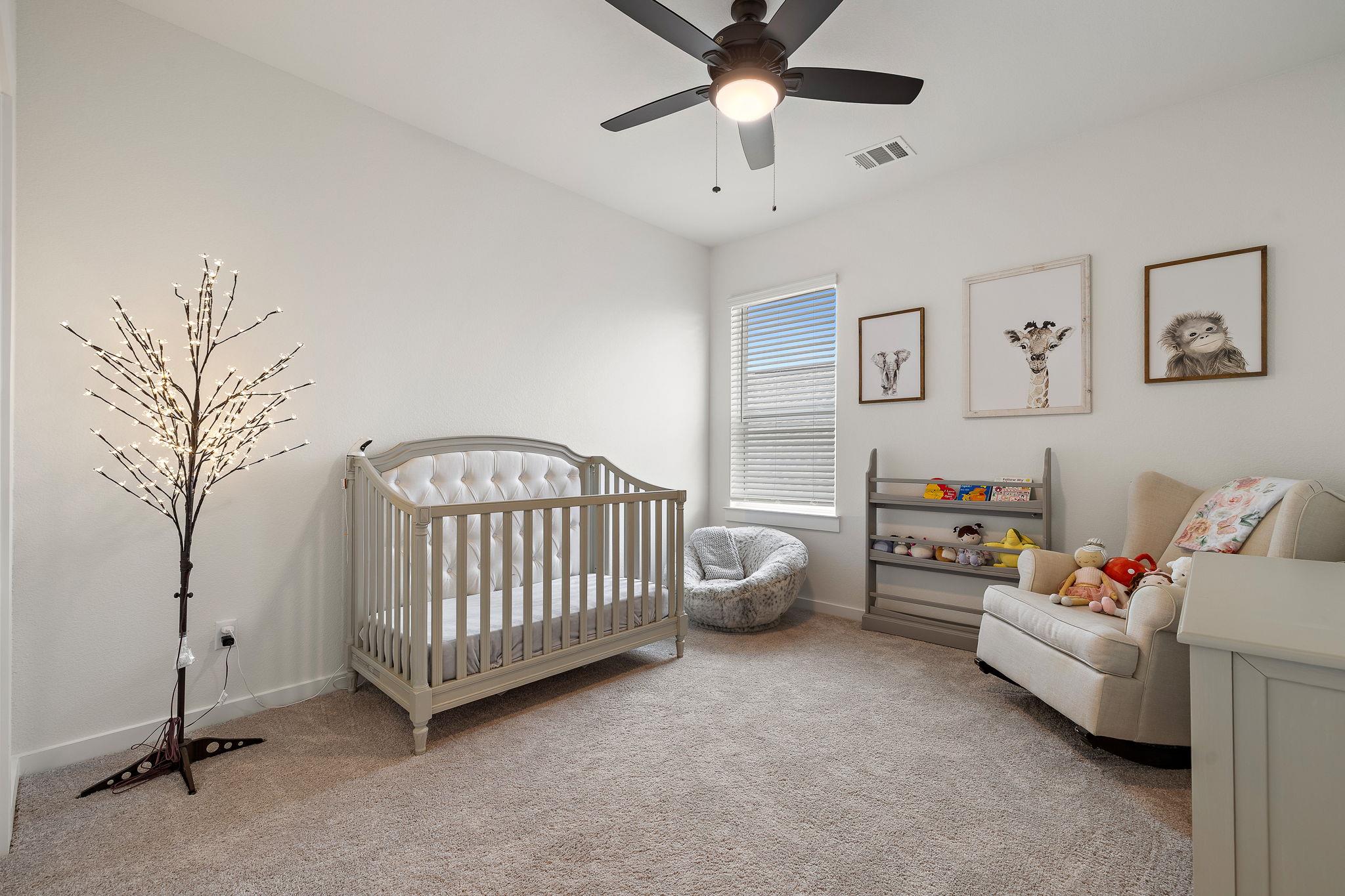 1212 Frances Peyton Ct, Leander, TX 78641