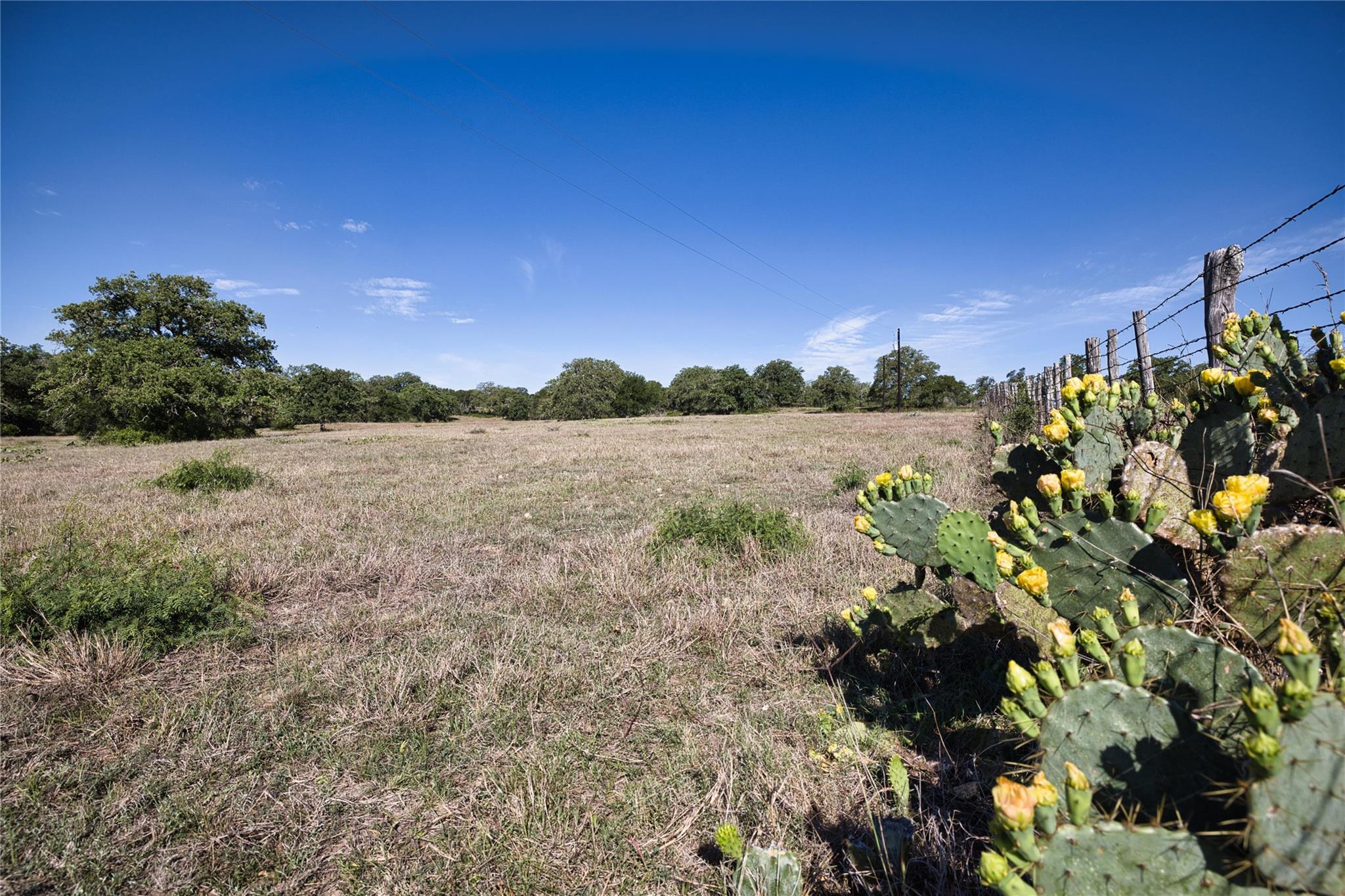 5250 Gravel Pit Rd, Kingsbury, TX 78155