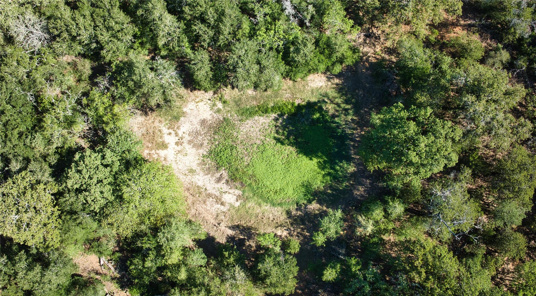 5250 Gravel Pit Rd, Kingsbury, TX 78155