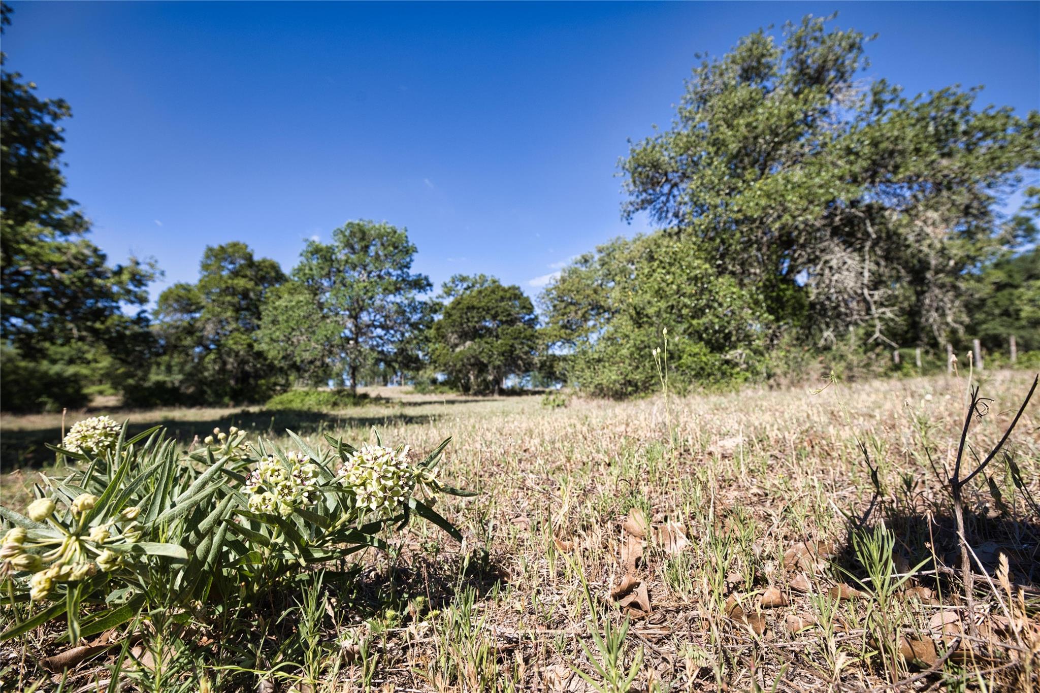 5250 Gravel Pit Rd, Kingsbury, TX 78155