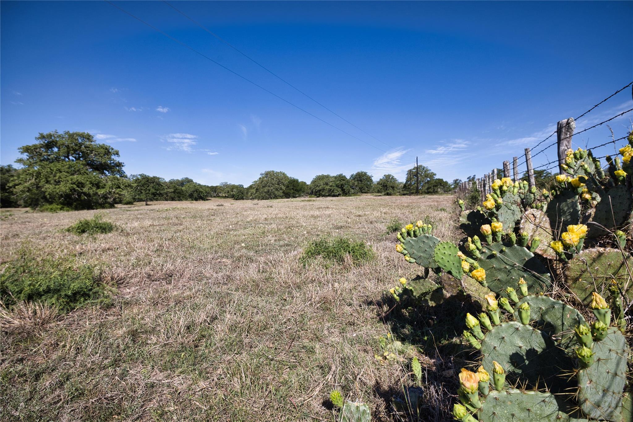 5250 Gravel Pit Rd, Kingsbury, TX 78155