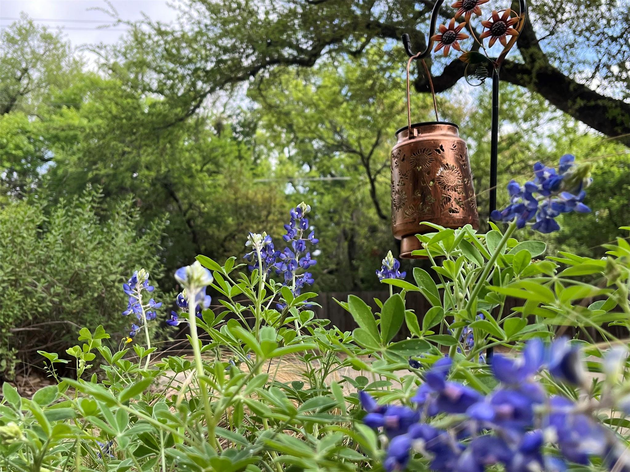 6401 Woodcrest Dr, Austin, TX 78759