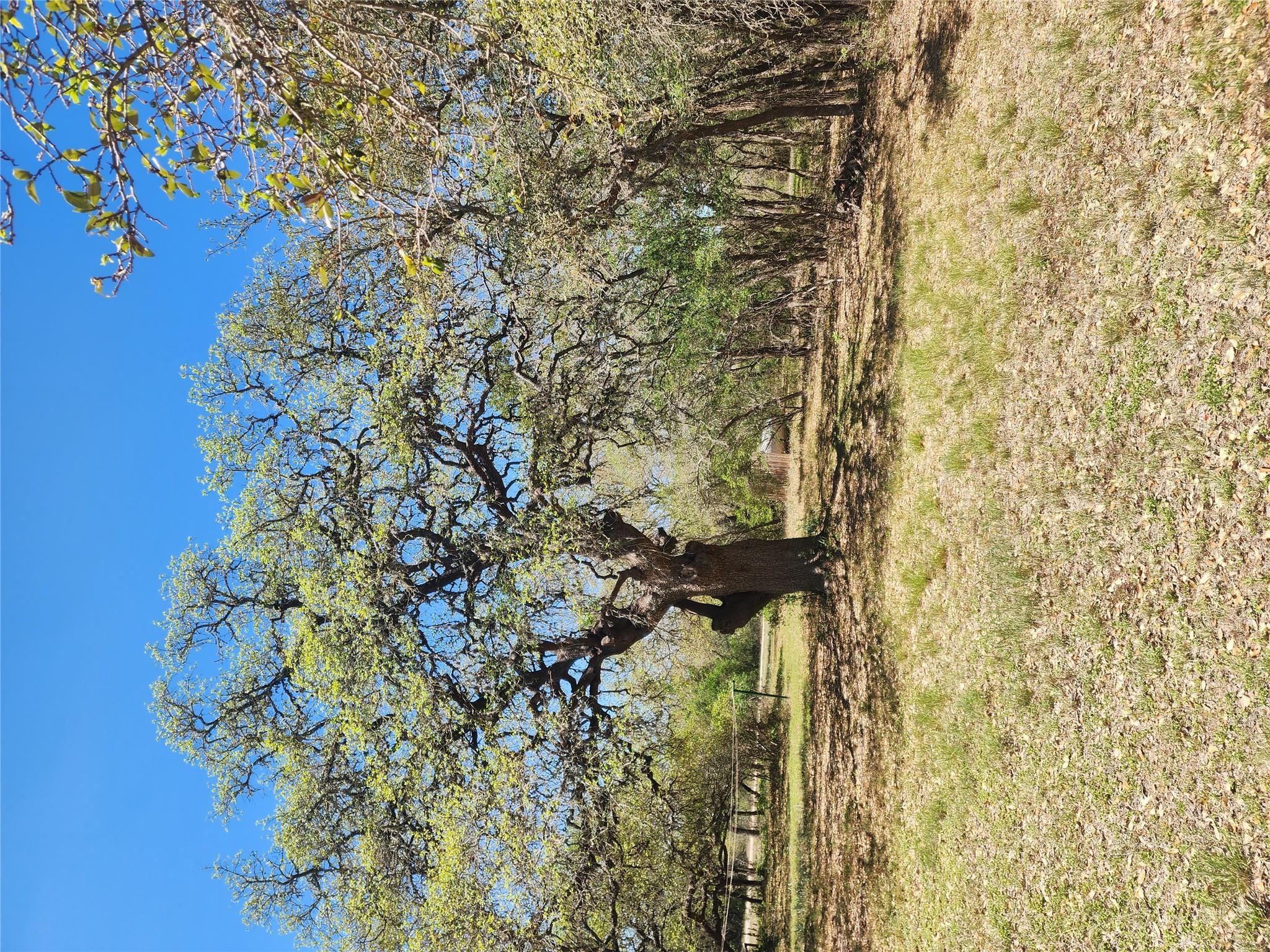 325 Crystal Meadows Dr, Kyle, TX 78640