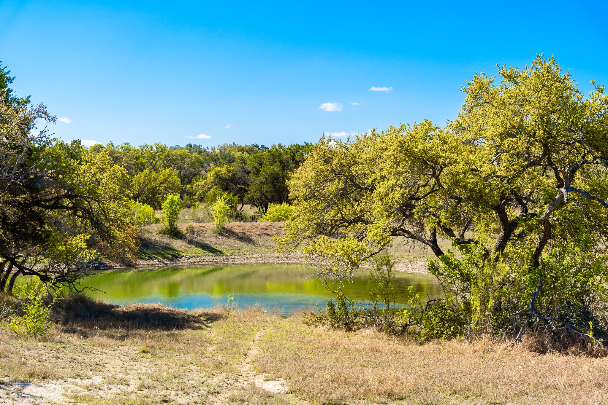 1100 Pump Station Rd, Wimberley, TX 78676