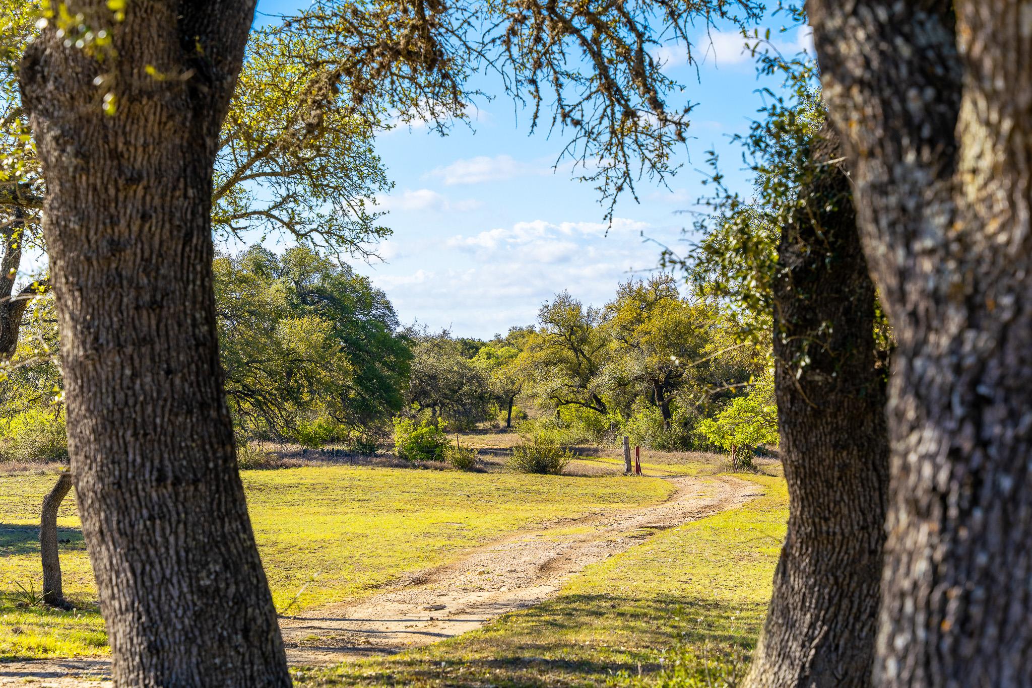 1100 Pump Station Rd, Wimberley, TX 78676