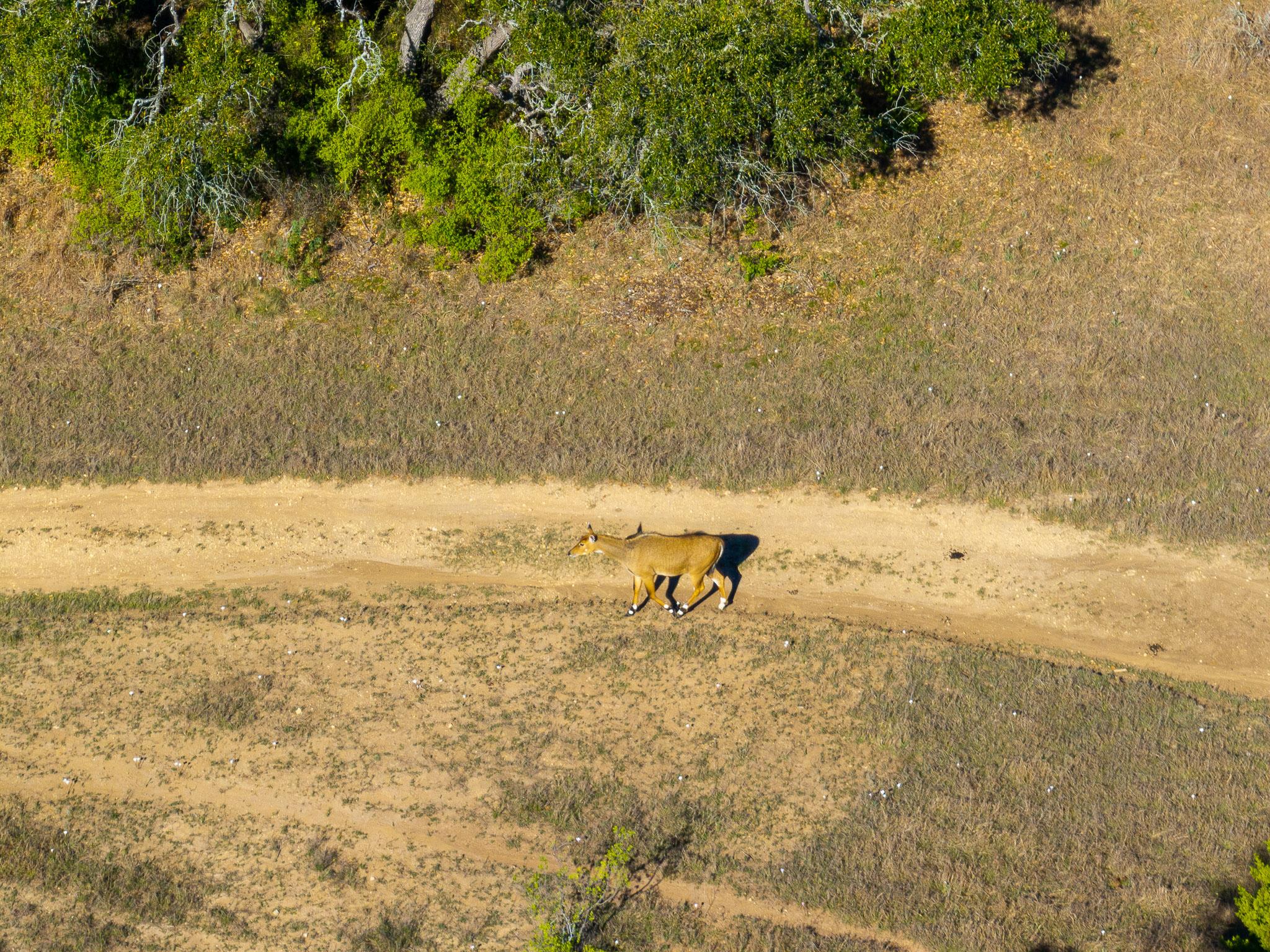 1100 Pump Station Rd, Wimberley, TX 78676