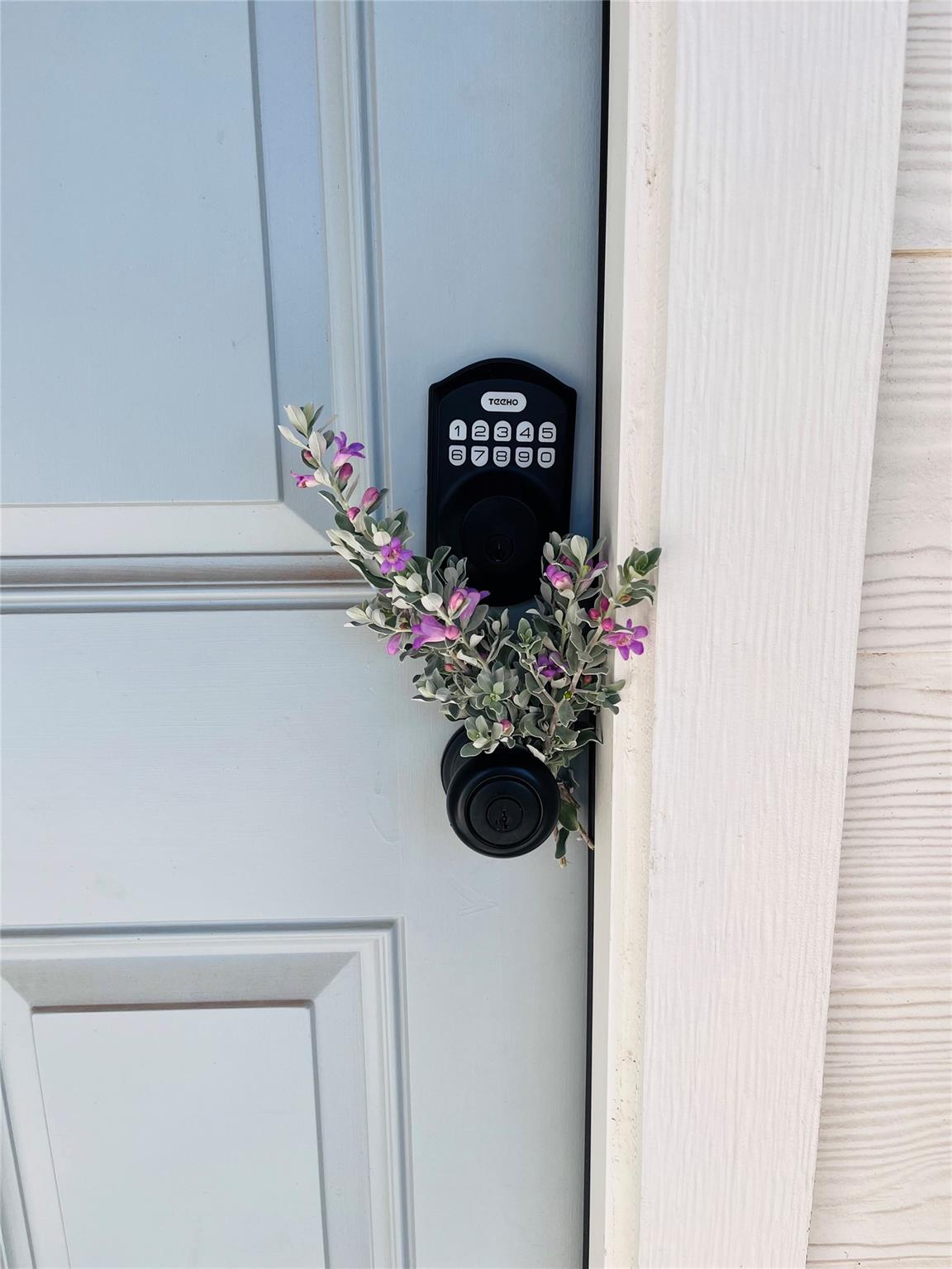 2536 Acoma Ln, Leander, TX 78641