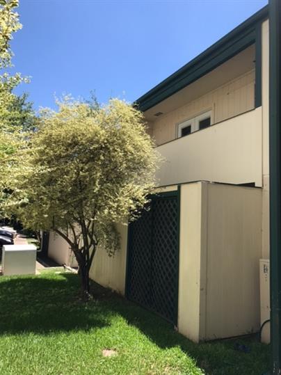 6718 Silvermine Dr # 302, Austin, TX 78736