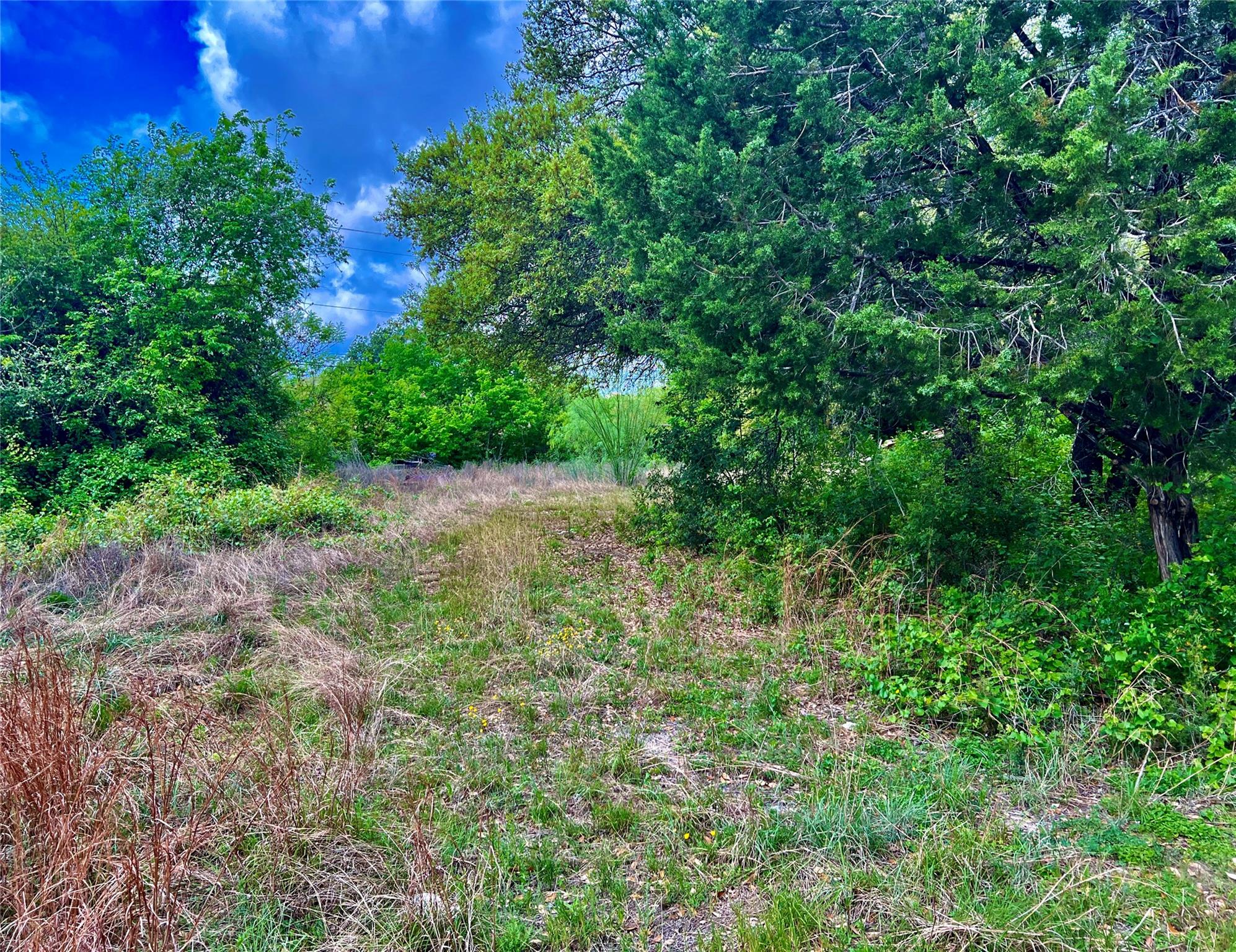 15209 CAVALIER CANYON Dr, Lakeway, TX 78734