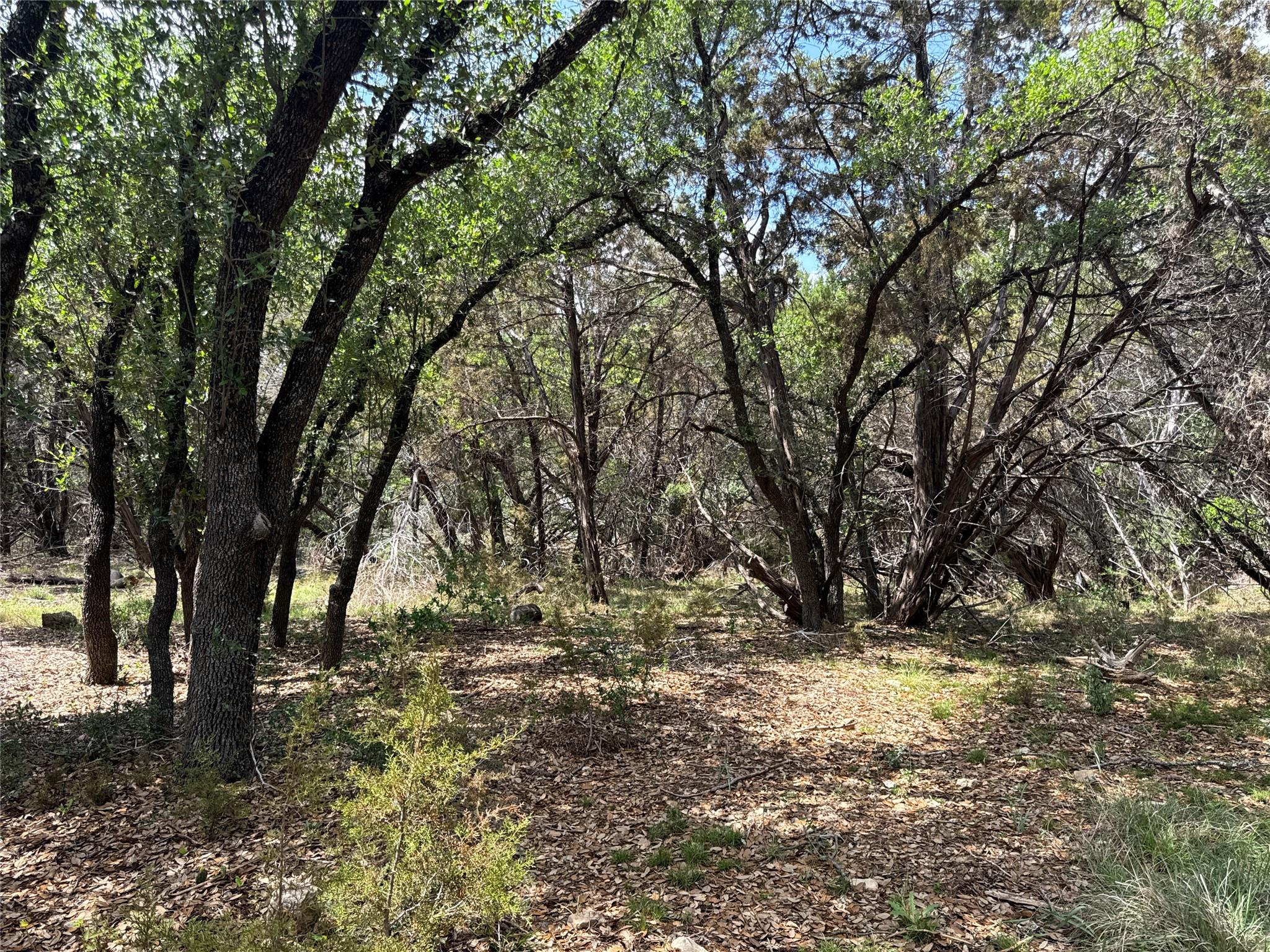 21501 Paseo De Vaca St, Leander, TX 78645