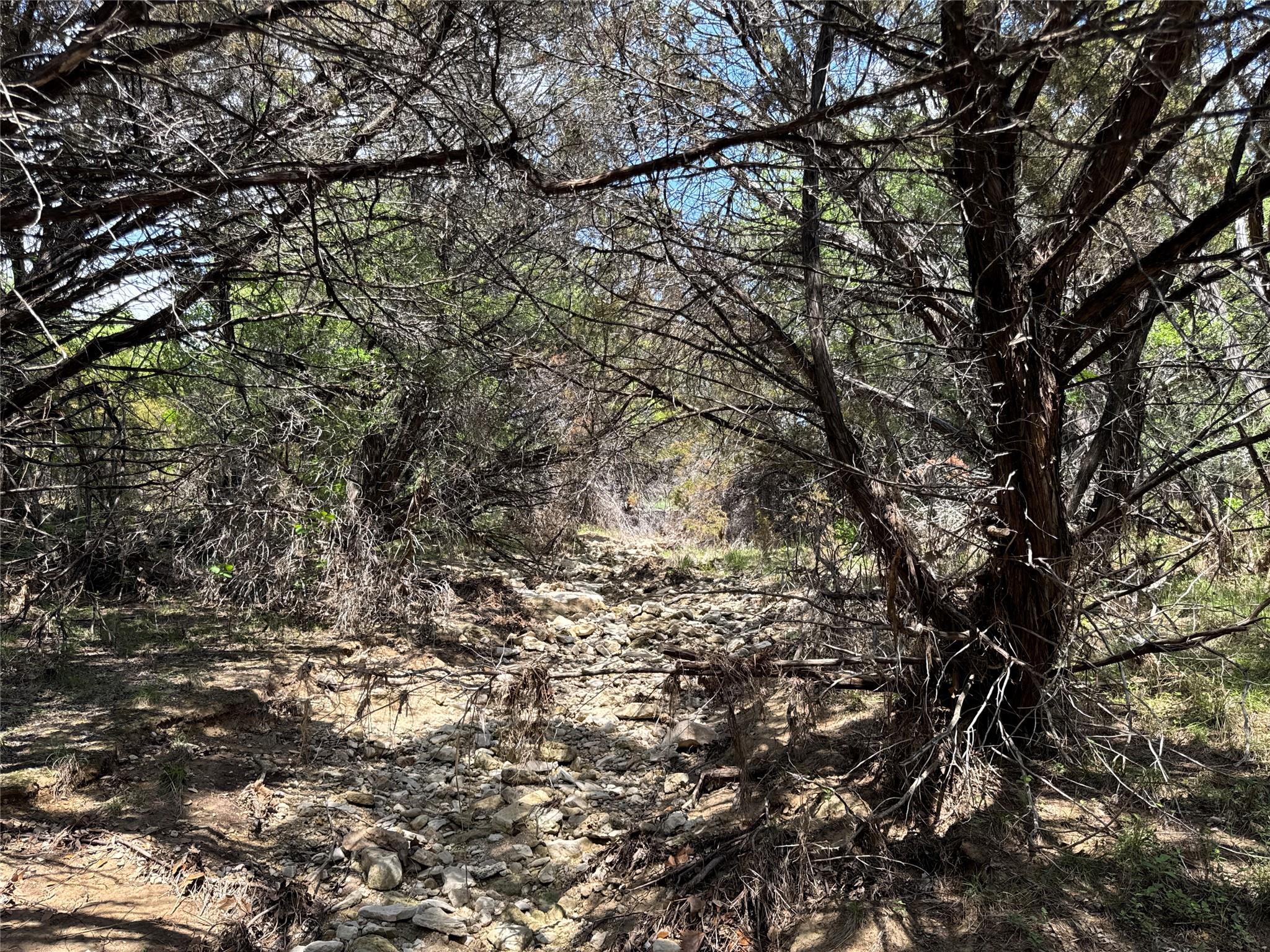 21501 Paseo De Vaca St, Leander, TX 78645