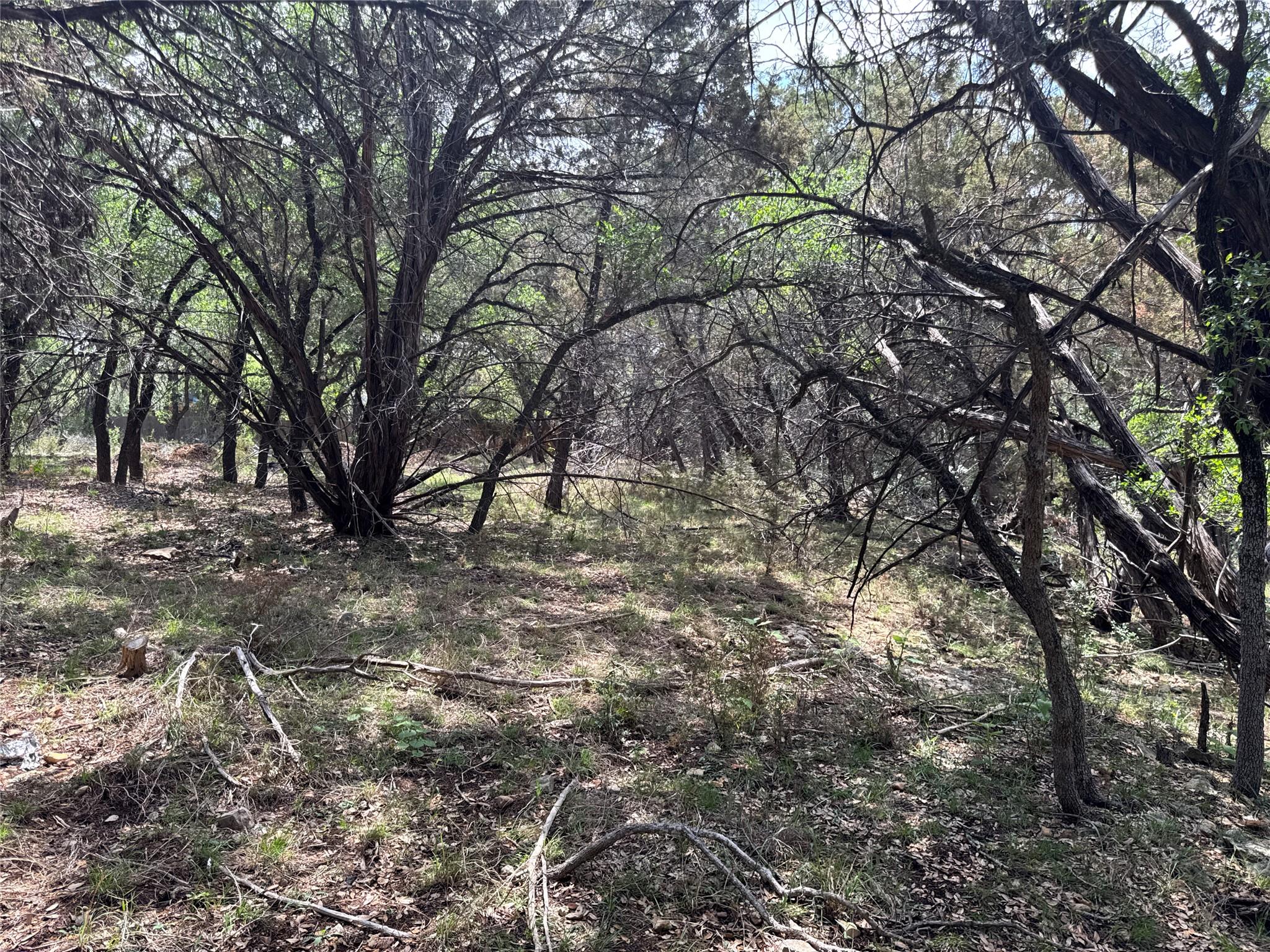 21501 Paseo De Vaca St, Leander, TX 78645