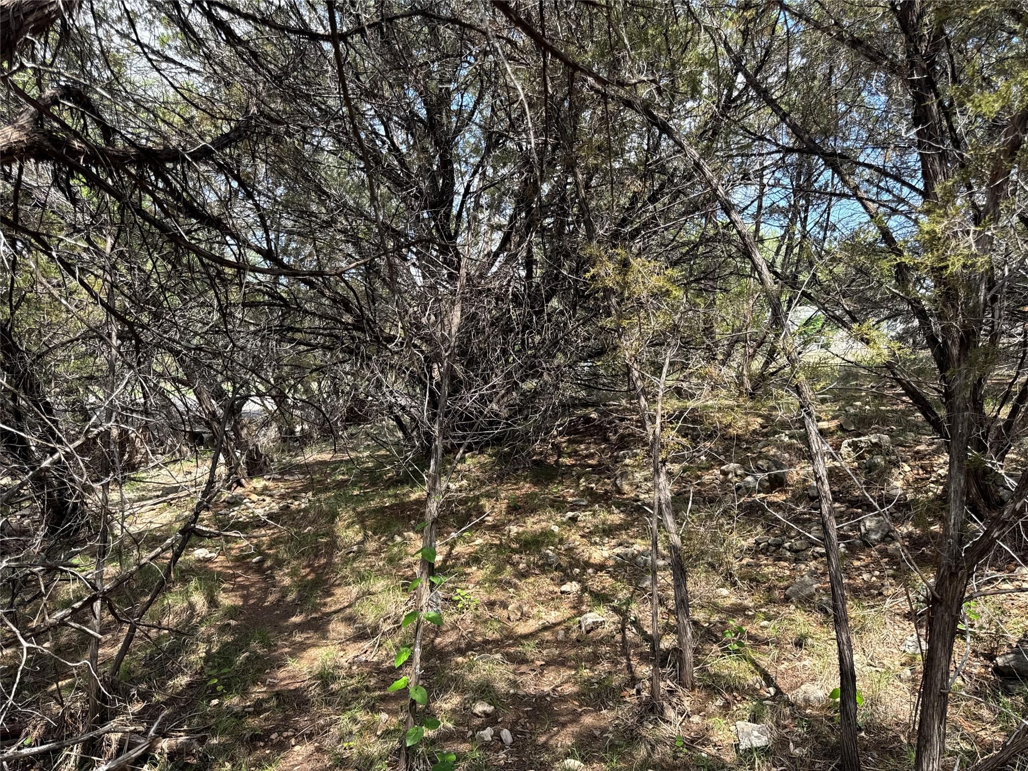 21501 Paseo De Vaca St, Leander, TX 78645