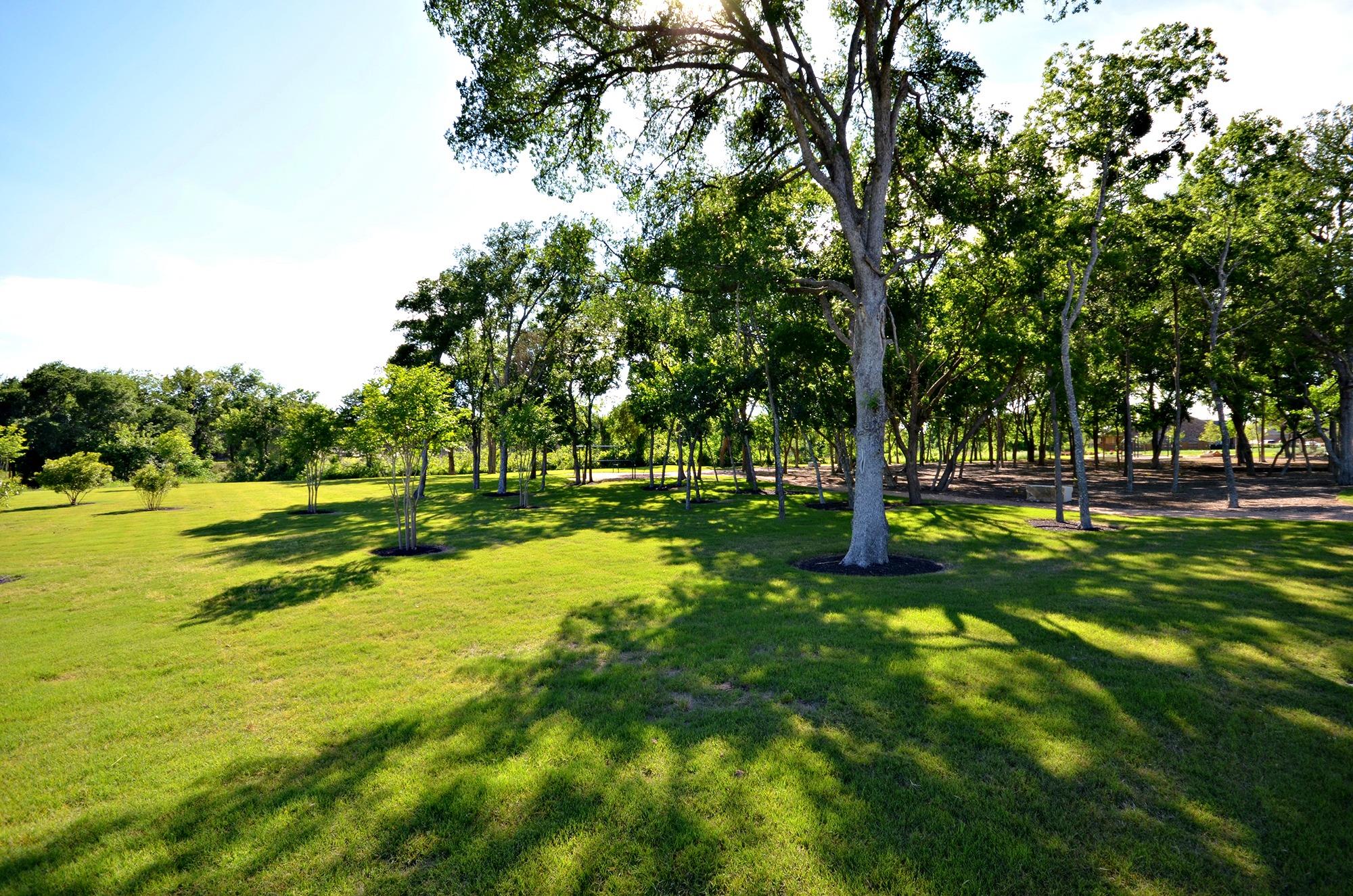 3036 Columbus Loop, Round Rock, TX 78665